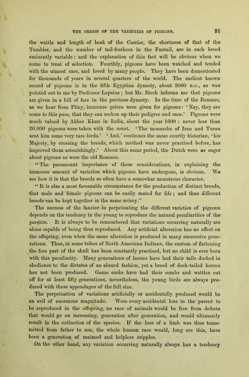 the wattle and length of beak of the Carrier, the shortness of that of the Tumbler, and the number of tail-feathers in the Fantail, are in each breed eminently variable : and the explanation of this fact will be obvious w'hen we come to treat of selection. Fourthly, pigeons have been watched and tended with the utmost care, and loved by many people. They have been domesticated for thousands of years in several quarters of the world. The earliest known record of pigeons is in the fifth Egyptian dynasty, about 3000 b.c., as was pointed out to me by Professor Lepsius ; hut Mr. Birch informs me that pigeons are given in a hill of fare in the previous dynasty. In the time of the Romans, as we hear from Pliny, immense prices were given for pigeons: ‘ Nay, they are come to this pass, that they can reckon uq> their pedigree and race.’ Pigeons were much valued by Akber Khan in India, about the year 1600 : never less than 20,000 pigeons were taken with the court. ‘ The monarchs of Iran and Turan sent him some very rare birds.’ ‘ And,’ continues the same courtly historian, ‘his Majesty, by crossing the breeds, which method was never practised before, has improved them astonishingly.’ About this same period, the Dutch were as eager about pigeons as were the old Romans. “ The paramount importance of these considerations, in explaining the immense amount of variation which pigeons have undergone, is obvious. We see how it is that the breeds so often have a somewhat monstrous character. “It is also a most favourable circumstance for the production of distinct breeds, that male and female pigeons can be easily mated for life ; and thus different breeds can be kept together in the same aviary.” The success of the fancier in perpetuating the different varieties of pigeons depends on the tendency in the young to reproduce the natural peculiarities of the parents. It is always to be remembered that variations occurring naturally are alone capable of being thus reproduced. Any artificial alteration has no effect on the offspring, even when the same alteration is produced in many successive gene- rations. Thus, in some tribes of North American Indians, the custom of flattening the fore part of the skull has been constantly practised, but no child is ever born with this peculiarity. Many generations of horses have had their tails docked in obedience to the dictates of an absurd fashion, yet a breed of dock-tailed horses has not been produced. Game cocks have had their combs and wattles cut off for at least fifty generations, nevertheless, the young birds are always pro- duced with these appendages of the full size. The perpetuation of variations artificially or accidentally produced would be an evil of enormous magnitude. Were every accidental loss in the parent to be reproduced in the offspring, no race of animals would be free from defects that would go on increasing, generation after generation, and would ultimately result in the extinction of the species. If the loss of a limb was thus trans- mitted from father to son, the whole human race would, long ere this, have been a generation of maimed and helpless cripples. On the other hand, any variation occurring naturally always has a tendency