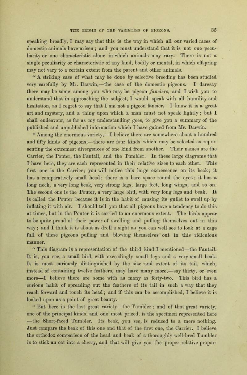 speaking broadly, I may say that this is the way in which all our varied races of domestic animals have arisen ; and you must understand that it is not one pecu- liarity or one characteristic alone in which animals may vary. There is not a single peculiarity or characteristic of any kind, bodily or mental, in which offspring may not vary to a certain extent from the parent and other animals. “ A striking case of what may be done by selective breeding has been studied very carefully by Mr. Darwin,—the case of the domestic pigeons. I daresay there may be some among you who may be pigeon fanciers, and I wish you to understand that in approaching the subject, I would speak with all humility and hesitation, as I regret to say that I am not a pigeon fancier. I know it is a great art and mystery, and a thing upon which a man must not speak lightly; but I shall endeavour, as far as my understanding goes, to give you a summary of the published and unpublished information which I have gained from Mr. Darwin. “Among the enormous variety,—I believe there are somewhere about a hundred and fifty kinds of pigeons,—there are four kinds which may be selected as repre- senting the extremest divergences of one kind from another. Their names are the Carrier, the Pouter, the Fantail, and the Tumbler. In these large diagrams that I have here, they are each represented in their relative sizes to each other. This first one is the Carrier; you will notice this large excrescence on its beak; it has a comparatively small head; there is a bare space round the eyes ; it has a long neck, a very long beak, very strong legs, large feet, long wings, and so on. The second one is the Pouter, a very large bird, with very long legs and beak. It is called the Pouter because it is in the habit of causing its gullet to swell up by inflating it with air. I should tell you that all pigeons have a tendency to do this at times, but in the Pouter it is carried to an enormous extent. The birds appear to be quite proud of their power of swelling and puffing themselves out in this way; and I think it is about as droll a sight as you can well see to look at a cage full of these pigeons puffing and blowing themselves out in this ridiculous manner. “ This diagram is a representation of the third kind I mentioned—the Fantail. It is, you see, a small bird, with exceedingly small legs and a very small beak. It is most curiously distinguished by the size and extent of its tail, which, instead of containing twelve feathers, may have many more,—say thirty, or even more—I believe there are some with as many as forty-two. This bird has a curious habit of spreading out the feathers of its tail in such a way that they reach forward and touch its head; and if this can be accomplished, I believe it is looked upon as a point of great beauty. “But here is the last great variety—the Tumbler; and of that great variety, one of the principal kinds, and one most prized, is the specimen represented here —the Short-faced Tumbler. Its beak, you see, is reduced to a mere nothing. Just compare the beak of this one and that of the first one, the Carrier. I believe the orthodox comparison of the head and beak of a thoroughly well-bred Tumbler is to stick an oat into a cherry, and that will give you the proper relative propor-