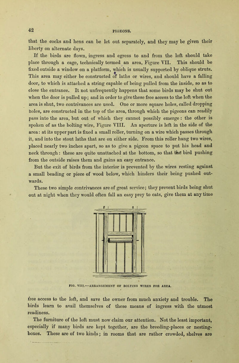 that the cocks and hens can be let out separately, and they may be given their liberty on alternate days. If the birds are flown, ingress and egress to and from the loft should take place through a cage, technically termed an area, Figure VII. This should be fixed outside a window on a platform, which is usually supported by oblique struts. This area may either be constructed of laths or wires, and should have a falling door, to which is attached a string capable of being pulled from the inside, so as to close the entrance. It not unfrequently happens that some birds may be shut out when the door is pulled up; and in order to give these free access to the loft when the area is shut, two contrivances are used. One or more square holes, called dropping holes, are constructed in the top of the area, through which the pigeons can readily pass into the area, but out of which they cannot possibly emerge : the other is spoken of as the bolting wire, Figure VIII. An aperture is left in the side of the area: at its upper part is fixed a small roller, turning on a wire which passes through it, and into the stout laths that are on either side. From this roller hang two wires, placed nearly two inches apart, so as to give a pigeon space to put his head and neck through : these are quite unattached at the bottom, so that tkd bird pushing from the outside raises them and gains an easy entrance. But the exit of birds from the interior is preArented by the wires resting against a small heading or piece of wood below, which hinders their being pushed out- wards. These two simple contrivances are of great service; they prevent birds being shut out at night when they would often fall an easy prey to cats, give them at any time FIG. VIII.—ARRANGEMENT OF BOLTING WIRES FOR AREA. free access to the loft, and save the owner from much anxiety and trouble. The birds learn to avail themselves of these means of ingress with the utmost readiness. The furniture of the loft must now claim our attention. Not the least important, especially if many birds are kept together, are the breeding-places or nesting- boxes. These are of two kinds; in rooms that are rather crowded, shelves are