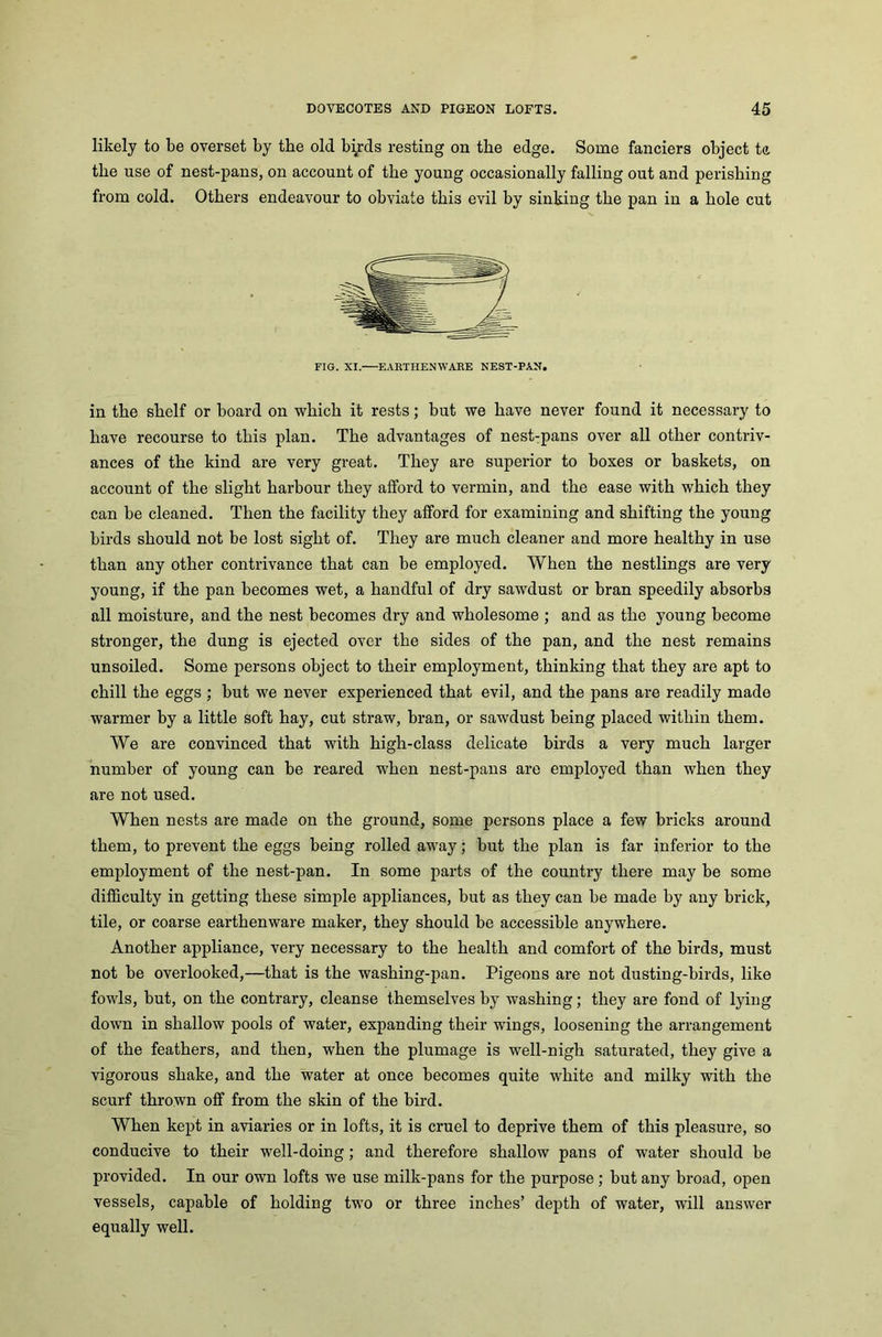 likely to be overset by the old biyds resting on the edge. Some fanciers object tc the use of nest-pans, on account of the young occasionally falling out and perishing from cold. Others endeavour to obviate this evil by sinking the pan in a hole cut in the shelf or board on which it rests; but we have never found it necessary to have recourse to this plan. The advantages of nesPpans over all other contriv- ances of the kind are very great. They are superior to boxes or baskets, on account of the slight harbour they afford to vermin, and the ease with which they can be cleaned. Then the facility they afford for examining and shifting the young birds should not be lost sight of. They are much cleaner and more healthy in use than any other contrivance that can be employed. When the nestlings are very young, if the pan becomes wet, a handful of dry sawdust or bran speedily absorbs all moisture, and the nest becomes dry and wholesome ; and as the young become stronger, the dung is ejected over the sides of the pan, and the nest remains unsoiled. Some persons object to their employment, thinking that they are apt to chill the eggs ; but we never experienced that evil, and the pans are readily made warmer by a little soft hay, cut straw, bran, or sawdust being placed within them. We are convinced that with high-class delicate birds a very much larger number of young can be reared when nest-pans are employed than when they are not used. When nests are made on the ground, some persons place a few bricks around them, to prevent the eggs being rolled away; but the plan is far inferior to the employment of the nest-pan. In some parts of the country there may be some difficulty in getting these simple appliances, but as they can be made by any brick, tile, or coarse earthenware maker, they should be accessible anywhere. Another appliance, very necessary to the health and comfort of the birds, must not be overlooked,—that is the washing-pan. Pigeons are not dusting-birds, like fowls, but, on the contrary, cleanse themselves by washing; they are fond of lying down in shallow pools of water, expanding their wings, loosening the arrangement of the feathers, and then, when the plumage is well-nigh saturated, they give a vigorous shake, and the water at once becomes quite white and milky with the scurf thrown off from the skin of the bird. When kept in aviaries or in lofts, it is cruel to deprive them of this pleasure, so conducive to their well-doing; and therefore shallow pans of water should be provided. In our own lofts we use milk-pans for the purpose; but any broad, open vessels, capable of holding two or three inches’ depth of water, will answer equally well.