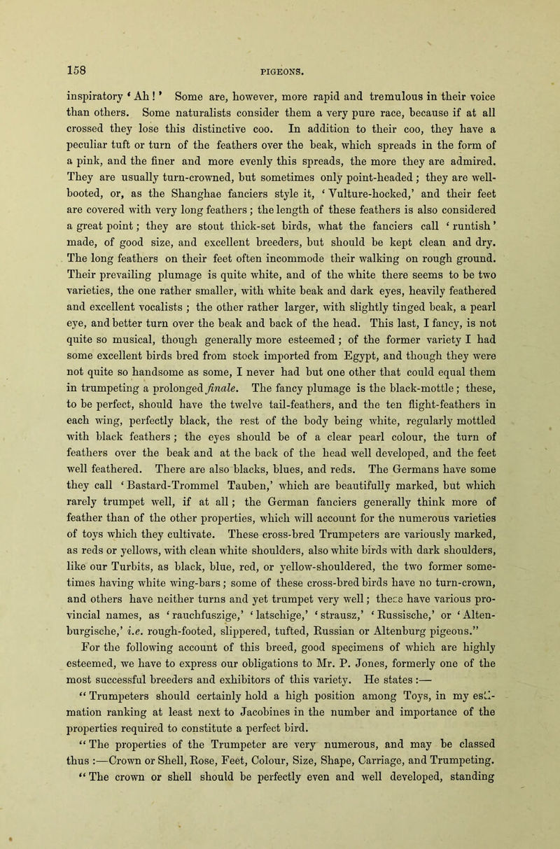 inspiratory * Ah ! * Some are, however, more rapid and tremulous in their voice than others. Some naturalists consider them a very pure race, because if at all crossed they lose this distinctive coo. In addition to their coo, they have a peculiar tuft or turn of the feathers over the beak, which spreads in the form of a pink, and the finer and more evenly this spreads, the more they are admired. They are usually turn-crowned, but sometimes only point-headed ; they are well- booted, or, as the Shanghae fanciers style it, ‘ Yulture-hocked,’ and their feet are covered with very long feathers; the length of these feathers is also considered a great point; they are stout thick-set birds, what the fanciers call ‘ runtish ’ made, of good size, and excellent breeders, but should be kept clean and dry. The long feathers on their feet often incommode their walking on rough ground. Their prevailing plumage is quite white, and of the white there seems to be two varieties, the one rather smaller, with white beak and dark eyes, heavily feathered and excellent vocalists ; the other rather larger, with slightly tinged beak, a pearl eye, and better turn over the beak and back of the head. This last, I fancy, is not quite so musical, though generally more esteemed; of the former variety I had some excellent birds bred from stock imported from Egypt, and though they were not quite so handsome as some, I never had but one other that could equal them in trumpeting a prolonged finale. The fancy plumage is the black-mottle ; these, to be perfect, should have the twelve tail-feathers, and the ten flight-feathers in each wing, perfectly black, the rest of the body being white, regularly mottled with black feathers ; the eyes should be of a clear pearl colour, the turn of feathers over the beak and at the back of the head well developed, and the feet well feathered. There are also blacks, blues, and reds. The Germans have some they call ‘ Bastard-Trommel Tauben,’ which are beautifully marked, but which rarely trumpet well, if at all; the German fanciers generally think more of feather than of the other properties, which will account for the numerous varieties of toys which they cultivate. These cross-bred Trumpeters are variously marked, as reds or yellows, with clean white shoulders, also white birds with dark shoulders, like our Turbits, as black, blue, red, or yellow-shouldered, the two former some- times having white wing-bars; some of these cross-bred birds have no turn-crown, and others have neither turns and yet trumpet very well; thece have various pro- vincial names, as ‘ rauchfuszige,’ ‘ latschige,’ ‘strausz,’ ‘ Russische,’ or ‘Alten- burgische,’ i.e. rough-footed, slippered, tufted, Russian or Altenburg pigeons.” For the following account of this breed, good specimens of which are highly esteemed, we have to express our obligations to Mr. P. Jones, formerly one of the most successful breeders and exhibitors of this variety. He states:— “ Trumpeters should certainly hold a high position among Toys, in my esti- mation ranking at least next to Jacobines in the number and importance of the properties required to constitute a perfect bird. “ The properties of the Trumpeter are very numerous, and may be classed thus :—Crown or Shell, Rose, Feet, Colour, Size, Shape, Carriage, and Trumpeting. “ The crown or shell should be perfectly even and well developed, standing