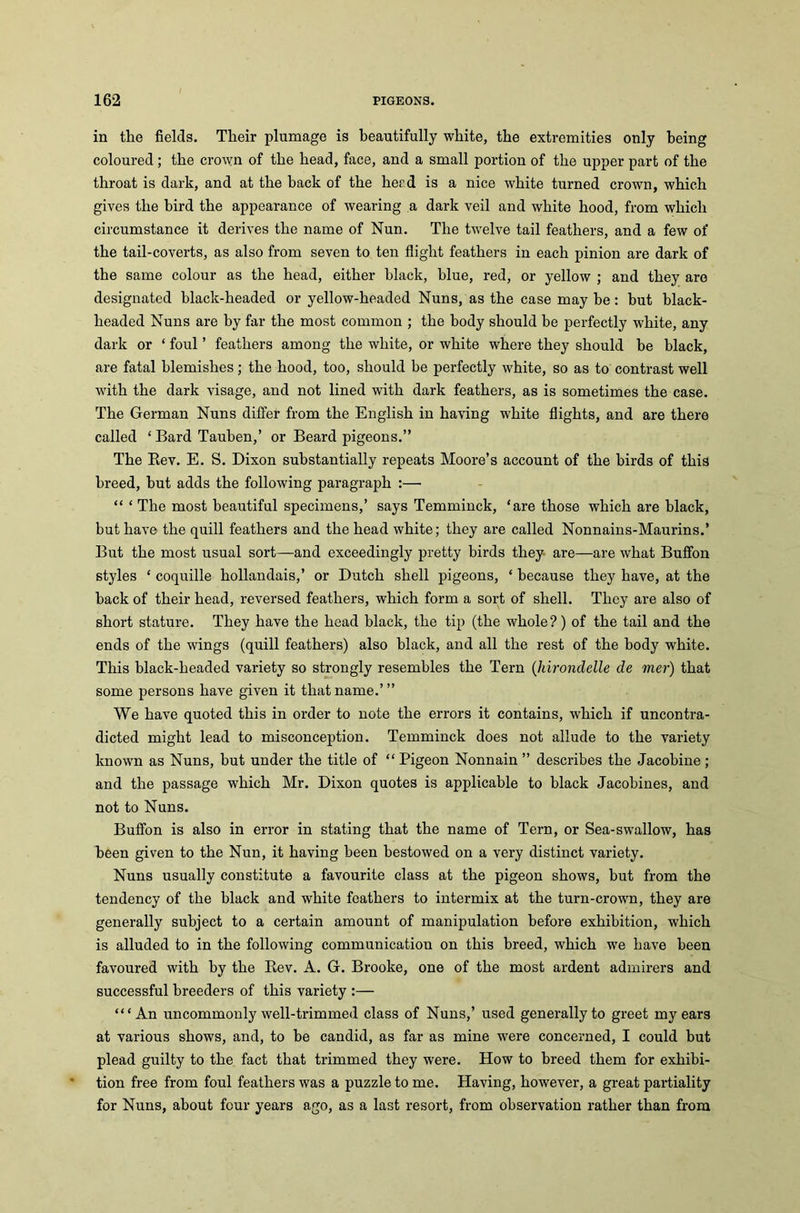 in the fields. Their plumage is beautifully white, the extremities only being coloured; the crown of the head, face, and a small portion of the upper part of the throat is dark, and at the hack of the head is a nice white turned crown, which gives the bird the appearance of wearing a dark veil and white hood, from which circumstance it derives the name of Nun. The twelve tail feathers, and a few of the tail-coverts, as also from seven to ten flight feathers in each pinion are dark of the same colour as the head, either black, blue, red, or yellow ; and they are designated black-headed or yellow-headed Nuns, as the case may be: but black- headed Nuns are by far the most common ; the body should be perfectly white, any dark or ‘ foul ’ feathers among the white, or white where they should be black, are fatal blemishes; the hood, too, should be perfectly white, so as to contrast well with the dark visage, and not lined with dark feathers, as is sometimes the case. The German Nuns differ from the English in having white flights, and are there called ‘ Bard Tauben,’ or Beard pigeons.” The Kev. E. S. Dixon substantially repeats Moore’s account of the birds of this breed, but adds the following paragraph :—• “ ‘ The most beautiful specimens,’ says Temminck, ‘are those which are black, but have the quill feathers and the head white; they are called Nonnains-Maurins.’ But the most usual sort—and exceedingly pretty birds they are—are what Buffon styles ‘ coquille hollandais,’ or Dutch shell pigeons, ‘ because they have, at the back of their head, reversed feathers, which form a sort of shell. They are also of short stature. They have the head black, the tip (the whole?) of the tail and the ends of the wings (quill feathers) also black, and all the rest of the body white. This black-headed variety so strongly resembles the Tern (hirondelle cle mer) that some persons have given it that name.’ ” We have quoted this in order to note the errors it contains, which if uncontra- dicted might lead to misconception. Temminck does not allude to the variety known as Nuns, but under the title of “ Pigeon Nonnain ” describes the Jacobine; and the passage which Mr. Dixon quotes is applicable to black Jacobines, and not to Nuns. Buffon is also in error in stating that the name of Tern, or Sea-swallow, has been given to the Nun, it having been bestowed on a very distinct variety. Nuns usually constitute a favourite class at the pigeon shows, but from the tendency of the black and white feathers to intermix at the turn-crown, they are generally subject to a certain amount of manipulation before exhibition, which is alluded to in the following communication on this breed, which we have been favoured with by the Rev. A. G. Brooke, one of the most ardent admirers and successful breeders of this variety :— “‘An uncommonly well-trimmed class of Nuns,’ used generally to greet my ears at various shows, and, to be candid, as far as mine were concerned, I could but plead guilty to the fact that trimmed they were. How to breed them for exhibi- tion free from foul feathers was a puzzle to me. Having, however, a great partiality for Nuns, about four years ago, as a last resort, from observation rather than from