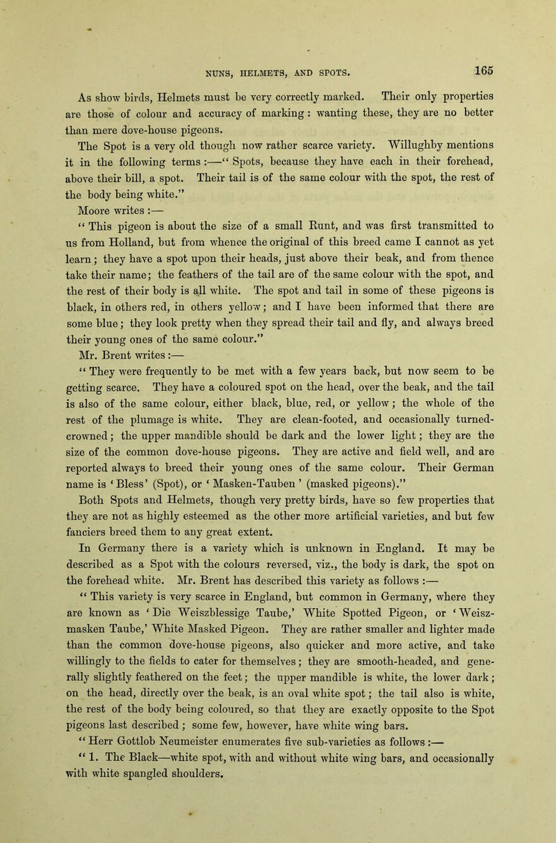 As show birds, Helmets must be very correctly marked. Their only properties are those of colour and accuracy of marking : wanting these, they are no better than mere dove-house pigeons. The Spot is a very old though now rather scarce variety. Willughby mentions it in the following terms :—“ Spots, because they have each in their forehead, above their bill, a spot. Their tail is of the same colour with the spot, the rest of the body being white.” Moore writes:— “ This pigeon is about the size of a small Runt, and was first transmitted to us from Holland, but from whence the original of this breed came I cannot as yet learn ; they have a spot upon their heads, just above their beak, and from thence take their name; the feathers of the tail are of the same colour with the spot, and the rest of their body is all white. The spot and tail in some of these pigeons is black, in others red, in others yellow; and I have been informed that there are some blue; they look pretty when they spread their tail and fly, and always breed their young ones of the same colour.” Mr. Brent writes :— “ They were frequently to be met with a few years back, but now seem to be getting scarce. They have a coloured spot on the head, over the beak, and the tail is also of the same colour, either black, blue, red, or yellow; the whole of the rest of the plumage is white. They are clean-footed, and occasionally turned- crowned ; the upper mandible should be dark and the lower light; they are the size of the common dove-house pigeons. They are active and field well, and are reported always to breed their young ones of the same colour. Their German name is ‘Bless’ (Spot), or ‘ Masken-Tauben ’ (masked pigeons).” Both Spots and Helmets, though very pretty birds, have so few properties that they are not as highly esteemed as the other more artificial varieties, and but fewr fanciers breed them to any great extent. In Germany there is a variety which is unknown in England. It may be described as a Spot with the colours reversed, viz., the body is dark, the spot on the forehead white. Mr. Brent has described this variety as follows :— “ This variety is very scarce in England, but common in Germany, where they are known as ‘Die Weiszblessige Taube,’ White Spotted Pigeon, or ‘ Weisz- masken Taube,’ White Masked Pigeon. They are rather smaller and lighter made than the common dove-house pigeons, also quicker and more active, and take willingly to the fields to cater for themselves; they are smooth-headed, and gene- rally slightly feathered on the feet; the upper mandible is white, the lower dark; on the head, directly over the beak, is an oval white spot; the tail also is white, the rest of the body being coloured, so that they are exactly opposite to the Spot pigeons last described; some few, however, have white wing bars. “ Herr Gottlob Neumeister enumerates five sub-varieties as follows :— “ 1. The Black—white spot, with and without white wing bars, and occasionally with white spangled shoulders.