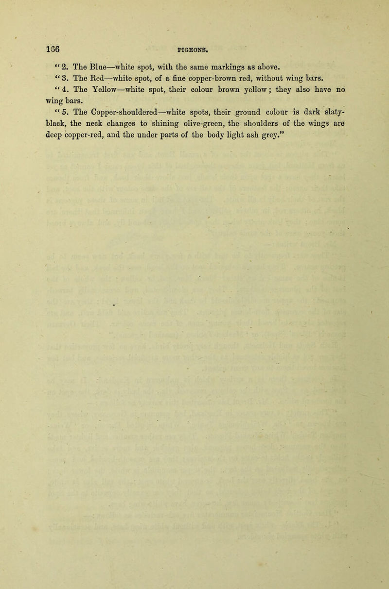 “ 2. The Blue—white spot, with the same markings as above. “ 3. The Red—white spot, of a fine copper-brown red, without wing bars. “ 4. The Yellow—white spot, their colour brown yellow; they also have no wing bars. “ 5. The Copper-shouldered—white spots, their ground colour is dark slaty- black, the neck changes to shining olive-green, the shoulders of the wings are deep copper-red, and the under parts of the body light ash grey.” I