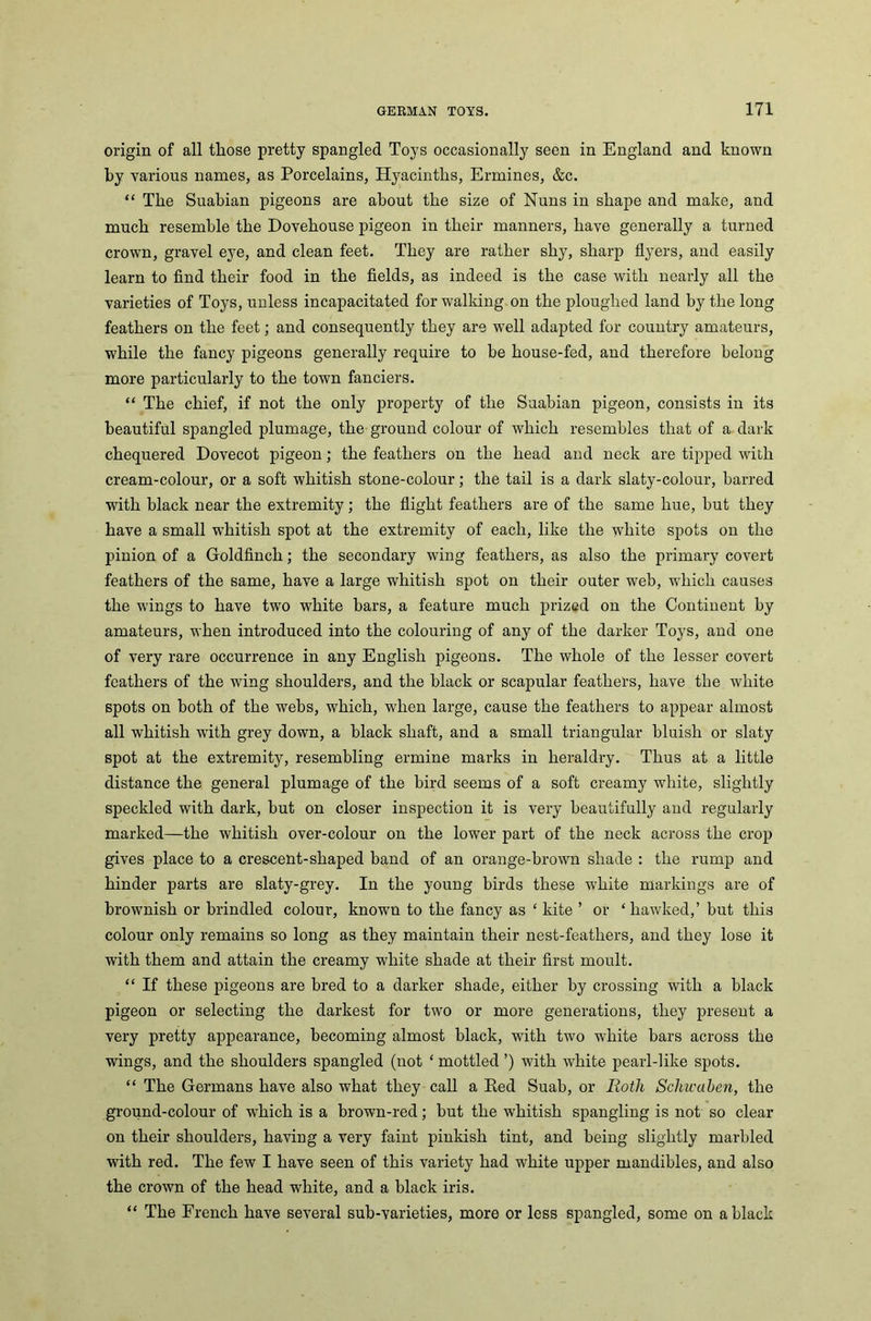 origin of all those pretty spangled Toys occasionally seen in England and known by various names, as Porcelains, Hyacinths, Ermines, &c. “ The Suabian pigeons are about the size of Nuns in shape and make, and much resemble the Dovehouse pigeon in their manners, have generally a turned crown, gravel eye, and clean feet. They are rather shy, sharp flyers, and easily learn to find their food in the fields, as indeed is the case with nearly all the varieties of Toys, unless incapacitated for walking on the ploughed land by the long feathers on the feet; and consequently they are well adapted for country amateurs, while the fancy pigeons generally require to be house-fed, and therefore belong more particularly to the town fanciers. “ The chief, if not the only property of the Suabian pigeon, consists in its beautiful spangled plumage, the ground colour of which resembles that of a dark chequered Dovecot pigeon; the feathers on the head and neck are tipped with cream-colour, or a soft whitish stone-colour; the tail is a dark slaty-colour, barred with black near the extremity; the flight feathers are of the same hue, but they have a small wdiitisli spot at the extremity of each, like the white spots on the pinion of a Goldfinch; the secondary wing feathers, as also the primary covert feathers of the same, have a large whitish spot on their outer web, which causes the wings to have two white bars, a feature much prized on the Continent by amateurs, when introduced into the colouring of any of the darker Toys, and one of very rare occurrence in any English pigeons. The whole of the lesser covert feathers of the wing shoulders, and the black or scapular feathers, have the white spots on both of the webs, which, when large, cause the feathers to appear almost all whitish with grey down, a black shaft, and a small triangular bluish or slaty spot at the extremity, resembling ermine marks in heraldry. Thus at a little distance the general plumage of the bird seems of a soft creamy white, slightly speckled with dark, but on closer inspection it is very beautifully and regularly marked—the whitish over-colour on the lower part of the neck across the crop gives place to a crescent-shaped band of an orange-brown shade : the rump and hinder parts are slaty-grey. In the young birds these white markings are of brownish or brindled colour, known to the fancy as ‘ kite ’ or ‘ hawked,’ but this colour only remains so long as they maintain their nest-feathers, and they lose it with them and attain the creamy white shade at their first moult. “ If these pigeons are bred to a darker shade, either by crossing with a black pigeon or selecting the darkest for two or more generations, they present a very pretty appearance, becoming almost black, with two white bars across the wings, and the shoulders spangled (not ‘ mottled ’) with white pearl-like spots. “ The Germans have also what they call a Red Suab, or Roth Scliwaben, the ground-colour of wdiich is a brown-red; but the whitish spangling is not so clear on their shoulders, having a very faint pinkish tint, and being slightly marbled with red. The few I have seen of this variety had wdiite upper mandibles, and also the crown of the head white, and a black iris. “ The French have several sub-varieties, more or less spangled, some on a black