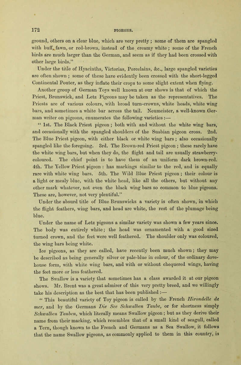 ground, others on a clear blue, which are very pretty ; some of them are spangled with buff* fawn, or red-brown, instead of the creamy white ; some of the French birds are much larger than the German, and seem as if they had been crossed with other large birds.” Under the title of Hyacinths, Victorias, Porcelains, &c., large spangled varieties are often shown ; some of these have evidently been crossed with the short-legged Continental Pouter, as they inflate their crops to some slight extent when flying. Another group of German Toys well known at our shows is that of which the Priest, Brunswick, and Letz Pigeons may he taken as the representatives. The Priests are of various colours, with broad turn-crowns, white heads, white wing bars, and sometimes a white bar across the tail. Neumeister, a well-known Ger- man writer on pigeons, enumerates the following varieties :— “ 1st. The Black Priest pigeon ; both with and without the white wing bars, and occasionally with the spangled shoulders of the Suabian pigeon cross. 2nd. The Blue Priest pigeon, with either black or white wing bars ; also occasionally spangled like the foregoing. 3rd. The Brown-red Priest pigeon ; these rarely have the white wing bars, but when they do, the flight and tail are usually strawberry- coloured. The chief point is to have them of an uniform dai’k brown-red. 4th. The Yellow Priest pigeon : has markings similar to the red, and is equally rare with white wing bars. 5th. The Wild Blue Priest pigeon ; their colour is a light or mealy blue, with the white head, like all the others, hut without any other mark whatever, not even the black wing bars so common to blue pigeons. These are, however, not very plentiful.” Under the absurd title of Blue Brunswicks a variety is often shown, in which the flight feathers, wing bars, and head are white, the rest of the plumage being blue. Under the name of Letz pigeons a similar variety was shown a few years since. The body was entirely white; the head was ornamented with a good sized turned crown, and the feet were well feathered. The shoulder only was coloured, the wing bars being white. Ice pigeons, as they are called, have recently been much shown; they may he described as being generally silver or pale-blue in colour, of the ordinary dove- house form, with white wing bars, and with or without chequered wings, having the feet more or less feathered. The Swallow is a variety that sometimes has a class awarded it at our pigeon shows. Mr. Brent was a great admirer of this very pretty breed, and we willingly take his description as the best that has been published :— “ This beautiful variety of Toy pigeon is called by the French Hirondelle de mer, and by the Germans Die See Schwalben Taube, or for shortness simply Schwalbcn Tauben, which literally means Swallow pigeon; but as they derive their name from their marking, which resembles that of a small kind of seagull, called a Tern, though known to the French and Germans as a Sea Swallow, it follows that the name Swallow pigeons, as commonly applied to them in this country, is