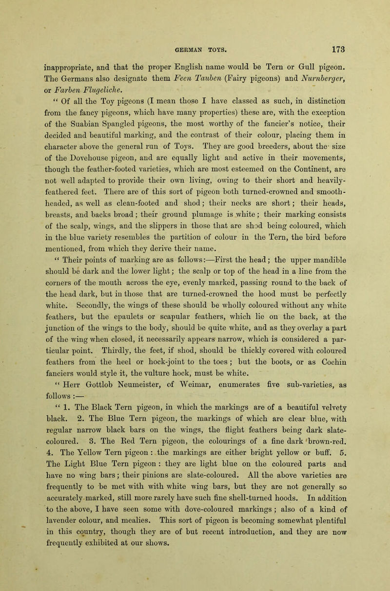 inappropriate, and that the proper English name would be Tern or Gull pigeon. The Germans also designate them Feen Tauben (Fairy pigeons) and Numberger, or Farben Flugeliche. “ Of all the Toy pigeons (I mean those I have classed as such, in distinction from the fancy pigeons, which have many properties) these are, with the exception of the Suabian Spangled pigeons, the most worthy of the fancier’s notice, their decided and beautiful marking, and the contrast of their colour, placing them in character above the general run of Toys. They are good breeders, about the- size of the Dovehouse pigeon, and are equally light and active in their movements, though the feather-footed varieties, which are most esteemed on the Continent, are not well adapted to provide their own living, owing to their short and heavily- feathered feet. There are of this sort of pigeon both turned-crowned and smooth- headed, as well as clean-footed and shod; their necks are short; their heads, breasts, and backs broad; their ground plumage is white; their marking consists of the scalp, wings, and the slippers in those that are shod being coloured, which in the blue variety resembles the partition of colour in the Tern, the bird before mentioned, from which they derive their name. “ Their points of marking are as follows:—First the head; the upper mandible should he dark and the lower light; the scalp or top of the head in a line from the corners of the mouth across the eye, evenly marked, passing round to the back of the head dark, hut in those that are turned-crowned the hood must be perfectly white. Secondly, the wings of these should be wholly coloured without any white feathers, but the epaulets or scapular feathers, which lie on the back, at the junction of the wings to the body, should he quite white, and as they overlay a part of the wing when closed, it necessarily appears narrow, which is considered a par- ticular point. Thirdly, the feet, if shod, should be thickly covered with coloured feathers from the heel or hock-joint to the toes ; hut the boots, or as Cochin fanciers would style it, the vulture hock, must be white. “ Herr Gottlob Neumeister, of Weimar, enumerates five sub-varieties, as follows :— “ 1. The Black Tern pigeon, in which the markings are of a beautiful velvety black. 2. The Blue Tern pigeon, the markings of which are clear blue, with regular narrow black bars on the wings, the flight feathers being dark slate- coloured. 3. The Bed Tern pigeon, the colourings of a fine dark 'brown-red. 4. The Yellow Tern pigeon : the markings are either bright yellow or huff. 5. The Light Blue Tern pigeon : they are light blue on the coloured parts and have no wing bars; their pinions are slate-coloured. All the above varieties are frequently to be met with with white wing bars, but they are not generally so accurately marked, still more rarely have such fine shell-turned hoods. In addition to the above, I have seen some with dove-coloured markings ; also of a kind of lavender colour, and mealies. This sort of pigeon is becoming somewhat plentiful in this country, though they are of but recent introduction, and they are now frequently exhibited at our shows.
