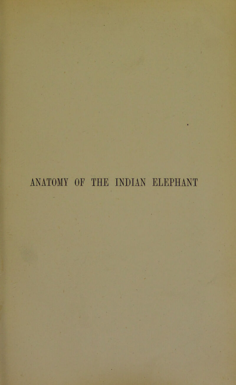 ANATOMY OF THE INDIAN ELEPHANT