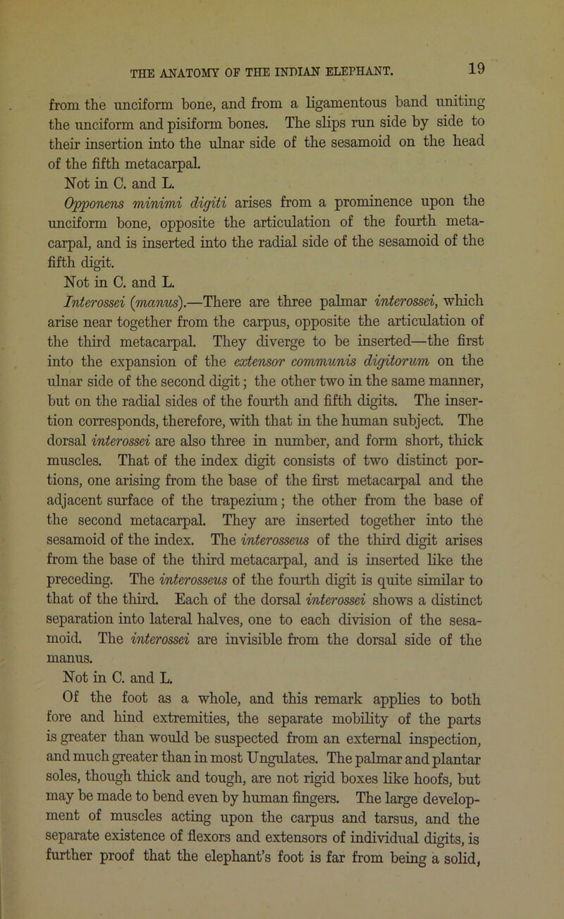 from the unciform bone, and from a ligamentous band uniting the unciform and pisiform bones. The slips run side by side to their insertion into the ulnar side of the sesamoid on the head of the fifth metacarpal. Not in C. and L. Opponens minimi cligiti arises from a prominence upon the unciform bone, opposite the articulation of the fourth meta- carpal, and is inserted into the radial side of the sesamoid of the fifth digit. Not in C. and L. Interossei (manus).—There are three palmar interossei, which arise near together from the carpus, opposite the articulation of the third metacarpal. They diverge to be inserted—the first into the expansion of the extensor communis digitorum on the ulnar side of the second digit; the other two in the same manner, but on the radial sides of the fourth and fifth digits. The inser- tion corresponds, therefore, with that in the human subject. The dorsal interossei are also three in number, and form short, thick muscles. That of the index digit consists of two distinct por- tions, one arising from the base of the first metacarpal and the adjacent surface of the trapezium; the other from the base of the second metacarpal. They are inserted together into the sesamoid of the index. The interosseus of the third digit arises from the base of the third metacarpal, and is inserted like the preceding. The interosseus of the fourth digit is quite similar to that of the third. Each of the dorsal interossei shows a distinct separation into lateral halves, one to each division of the sesa- moid. The interossei are invisible from the dorsal side of the manus. Not in C. and L. Of the foot as a whole, and this remark applies to both fore and hind extremities, the separate mobility of the parts is greater than would be suspected from an external inspection, and much greater than in most Ungulates. The palmar and plantar soles, though thick and tough, are not rigid boxes like hoofs, but may be made to bend even by human fingers. The large develop- ment of muscles acting upon the carpus and tarsus, and the separate existence of flexors and extensors of individual digits, is further proof that the elephant’s foot is far from being a solid,