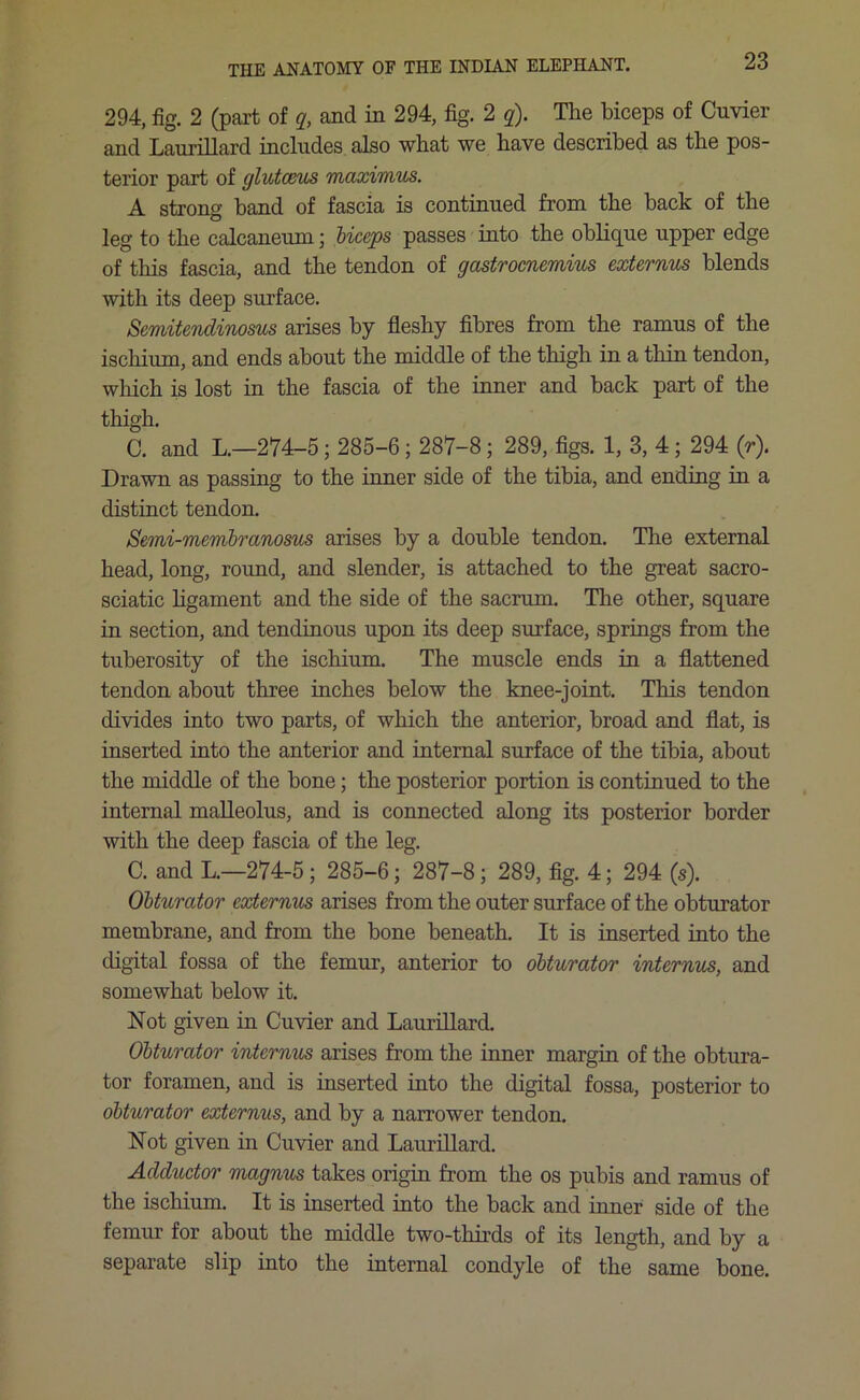 294, fig. 2 (part of q, and in 294, fig. 2 q). The biceps of Cuvier and Laurillard includes also what we have described as the pos- terior part of glutceus maximus. A strong hand of fascia is continued from the hack of the leg to the calcaneum; biceps passes into the oblique upper edge of this fascia, and the tendon of gastrocnemius externus blends with its deep surface. Semitendinosus arises by fleshy fibres from the ramus of the ischium, and ends about the middle of the thigh in a thin tendon, which is lost in the fascia of the inner and back part of the thigh. C. and L.—274-5; 285-6 ; 287-8 ; 289, figs. 1, 3, 4; 294 (r). Drawn as passing to the inner side of the tibia, and ending in a distinct tendon. Semi-membranosus arises by a double tendon. The external head, long, round, and slender, is attached to the great sacro- sciatic ligament and the side of the sacrum. The other, square in section, and tendinous upon its deep surface, springs from the tuberosity of the ischium. The muscle ends in a flattened tendon about three inches below the knee-joint. This tendon divides into two parts, of which the anterior, broad and flat, is inserted into the anterior and internal surface of the tibia, about the middle of the hone; the posterior portion is continued to the internal malleolus, and is connected along its posterior border with the deep fascia of the leg. C. and L.—274-5 ; 285-6; 287-8 ; 289, fig. 4; 294 (s). Obturator externus arises from the outer surface of the obturator membrane, and from the bone beneath. It is inserted into the digital fossa of the femur, anterior to obturator internus, and somewhat below it. Not given in Cuvier and Laurillard. Obturator internus arises from the inner margin of the obtura- tor foramen, and is inserted into the digital fossa, posterior to obturator externus, and by a narrower tendon. Not given in Cuvier and Laurillard. Adductor magnus takes origin from the os pubis and ramus of the ischium. It is inserted into the hack and inner side of the femur for about the middle two-thirds of its length, and by a separate slip into the internal condyle of the same bone.