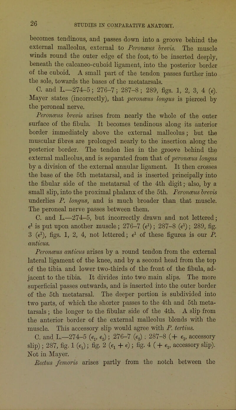 becomes tendinous, and passes down into a groove behind the external malleolus, external to Peronceus brevis. The muscle winds round the outer edge of the foot, to be inserted deeply, beneath the calcaneo-cuboid ligament, into the posterior border of the cuboid. A small part of the tendon passes further into the sole, towards the bases of the metatarsals. C. and L.—274-5; 276-7; 287-8 ; 289, figs. 1, 2, 3, 4 (e). Mayer states (incorrectly), that peronceus longus is pierced by the peroneal nerve. Peronceus brevis arises from nearly the whole of the outer surface of the fibula. It becomes tendinous along its anterior border immediately above the external malleolus; but the muscular fibres are prolonged nearly to the insertion along the posterior border. The tendon lies in the groove behind the external malleolus, and is separated from that of peronceus longus by a division of the external annular ligament. It then crosses the base of the 5th metatarsal, and is inserted principally into the fibular side of the metatarsal of the 4th digit; also, by a small slip, into the proximal phalanx of the 5th. Peronceus brevis underlies P. longus, and is much broader than that muscle. The peroneal nerve passes between them. C. and L.—274-5, but incorrectly drawn and not lettered; e1 is put upon another muscle ; 276-7 (e1); 287-8 (e1) ; 289, fig. 3 (e1), figs. 1, 2, 4, not lettered; e1 of these figures is our P. anticus. Peronceus anticus arises by a round tendon from the external lateral ligament of the knee, and by a second head from the top of the tibia and lower two-thirds of the front of the fibula, ad- jacent to the tibia. It divides into two main slips. The more superficial passes outwards, and is inserted into the outer border of the 5th metatarsal. The deeper portion is subdivided into two parts, of which the shorter passes to the 4th and 5th meta- tarsals ; the longer to the fibular side of the 4th. A slip from the anterior border of the external malleolus blends with the muscle. This accessory slip would agree with P. tertius. C. and L.—274-5 (e1( e2); 276-7 (e^ ; 287-8 ( + ev accessory slip); 287, fig. 1 (ej; fig. 2 (e1 + e); fig. 4 (+ ev accessory slip). Not in Mayer. Rectus femoris arises partly from the notch between the