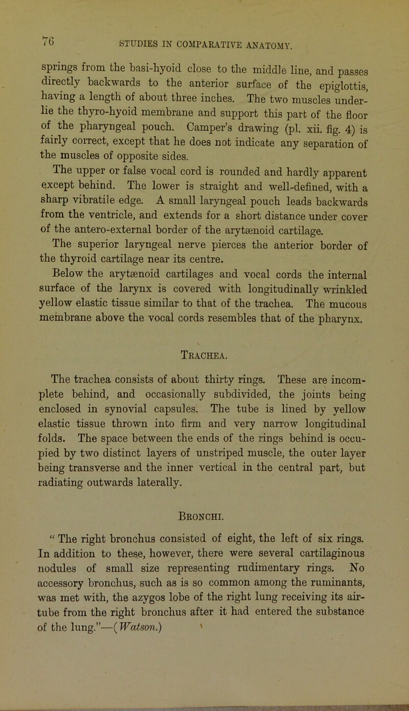 spiings fiom tlie basi-hyoid close to the middle line, and passes directly backwards to the anterior surface of the epiglottis, having a length of about three inches. The two muscles under- lie the thyro-hyoid membrane and support this part of the floor of the pharyngeal pouch. Camper’s drawing (pi. xii. fig. 4) is fairly coirect, except that he does not indicate any separation of the muscles of opposite sides. The upper or false vocal cord is rounded and hardly apparent except behind. The lower is straight and well-defined, with a sharp vibratile edge. A small laryngeal pouch leads backwards from the ventricle, and extends for a short distance under cover of the antero-external border of the arytaenoid cartilage. The superior laryngeal nerve pierces the anterior border of the thyroid cartilage near its centre. Below the arytaenoid cartilages and vocal cords the internal surface of the larynx is covered with longitudinally wrinkled yellow elastic tissue similar to that of the trachea. The mucous membrane above the vocal cords resembles that of the pharynx. \ Trachea. The trachea consists of about thirty rings. These are incom- plete behind, and occasionally subdivided, the joints being enclosed in synovial capsules. The tube is lined by yellow elastic tissue thrown into firm and very narrow longitudinal folds. The space between the ends of the rings behind is occu- pied by two distinct layers of unstriped muscle, the outer layer being transverse and the inner vertical in the central part, but radiating outwards laterally. Bronchi. “ The right bronchus consisted of eight, the left of six rings. In addition to these, however, there were several cartilaginous nodules of small size representing rudimentary rings. No accessory bronchus, such as is so common among the ruminants, was met with, the azygos lobe of the right lung receiving its air- tube from the right bronchus after it had entered the substance of the lung.”—(Watson.) '