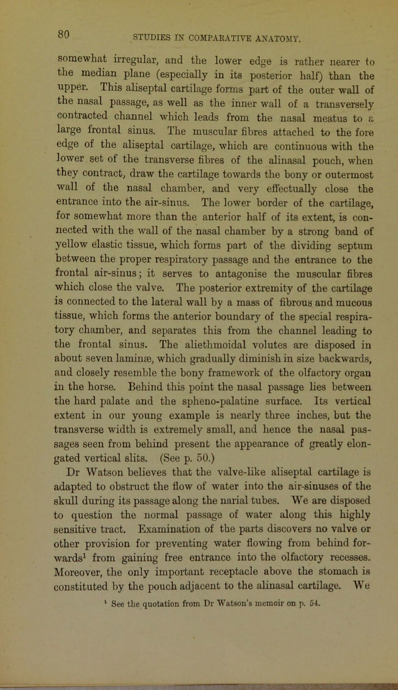 somewhat irregular, and the lower edge is rather nearer to the median plane (especially in its posterior half) than the upper. This aliseptal cartilage forms part of the outer wall of the nasal passage, as well as the inner wall of a transversely contracted channel which leads from the nasal meatus to a large frontal sinus. The muscular fibres attached to the fore edge of the aliseptal cartilage, which are continuous with the lower set of the transverse fibres of the alinasal pouch, when they contract, draw the cartilage towards the bony or outermost wall of the nasal chamber, and very effectually close the entrance into the air-sinus. The lower border of the cartilage, for somewhat more than the anterior half of its extent, is con- nected with the wall of the nasal chamber by a strong band of yellow elastic tissue, which forms part of the dividing septum between the proper respiratory passage and the entrance to the frontal air-sinus; it serves to antagonise the muscular fibres which close the valve. The posterior extremity of the cartilage is connected to the lateral wall by a mass of fibrous and mucous tissue, which forms the anterior boundary of the special respira- tory chamber, and separates this from the channel leading to the frontal sinus. The aliethmoidal volutes are disposed in about seven laminae, which gradually diminish in size backwards, aud closely resemble the bony framework of the olfactory organ in the horse. Behind this point the nasal passage lies between the hard palate and the spheno-palatine surface. Its vertical extent in our young example is nearly three inches, but the transverse width is extremely small, and hence the nasal pas- sages seen from behind present the appearance of greatly elon- gated vertical slits. (See p. 50.) Dr Watson believes that the valve-like aliseptal cartilage is adapted to obstruct the flow of water into the air-sinuses of the skull during its passage along the narial tubes. We are disposed to question the normal passage of water along this highly sensitive tract. Examination of the parts discovers no valve or other provision for preventing water flowing from behind for- wards1 from gaining free entrance into the olfactory recesses. Moreover, the only important receptacle above the stomach is constituted by the pouch adjacent to the alinasal cartilage. We 1 See the quotation from Dr Watson’s memoir on p. 54. —