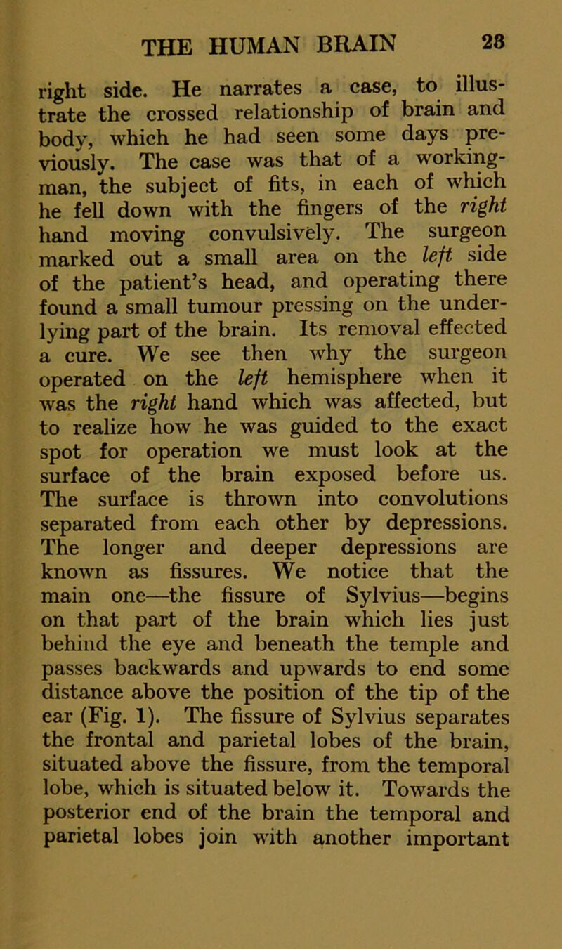 right side. He narrates a case, to illus- trate the crossed relationship of brain and body, which he had seen some days pre- viously. The case was that of a working- man, the subject of fits, in each of which he fell down with the fingers of the right hand moving convulsively. The surgeon marked out a small area on the left side of the patient’s head, and operating there found a small tumour pressing on the under- lying part of the brain. Its removal effected a cure. We see then why the surgeon operated on the left hemisphere when it was the right hand which was affected, but to realize how he was guided to the exact spot for operation we must look at the surface of the brain exposed before us. The surface is thrown into convolutions separated from each other by depressions. The longer and deeper depressions are known as fissures. We notice that the main one—^the fissure of Sylvius—begins on that part of the brain which lies just behind the eye and beneath the temple and passes backwards and upwards to end some distance above the position of the tip of the ear (Fig. 1). The fissure of Sylvius separates the frontal and parietal lobes of the brain, situated above the fissure, from the temporal lobe, which is situated below it. Towards the posterior end of the brain the temporal and parietal lobes join with another important