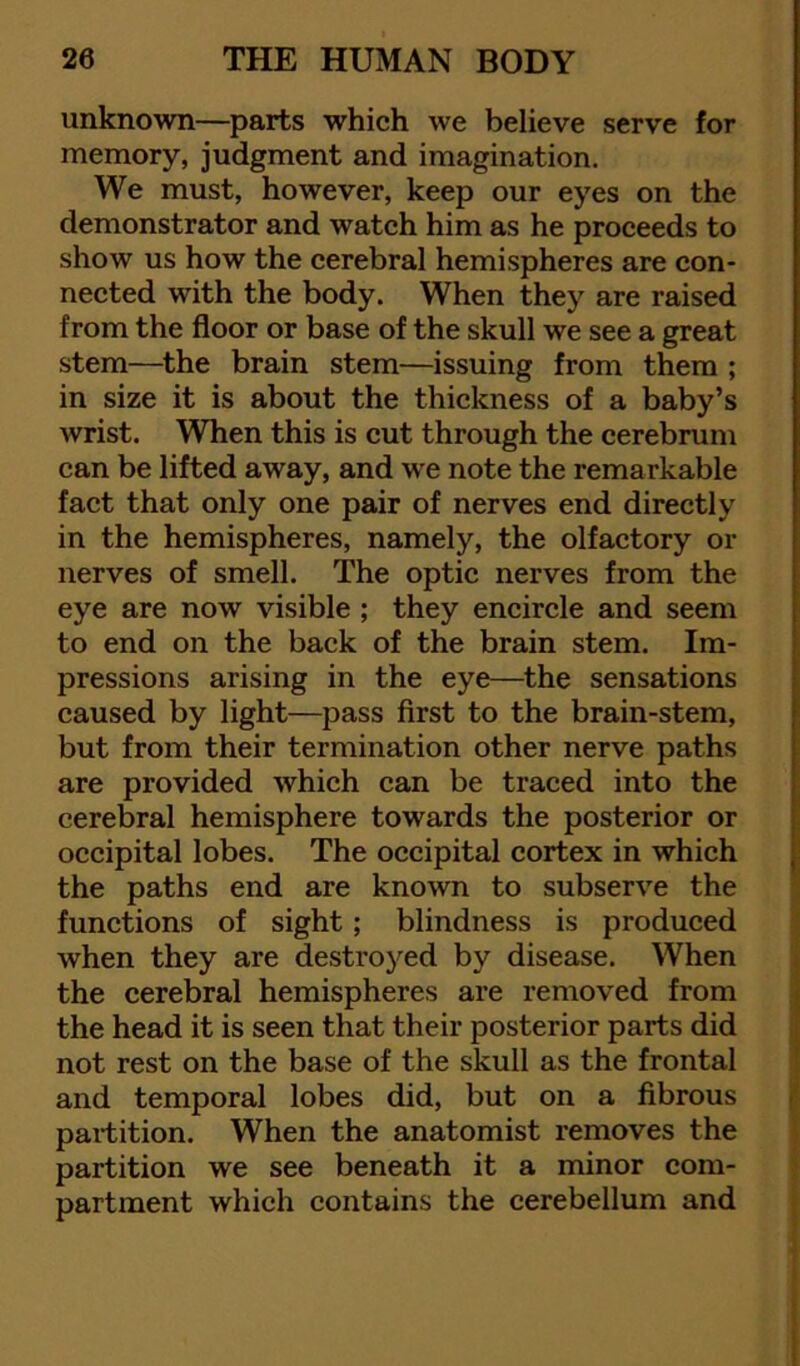 unknown—parts which we believe serve for memory, judgment and imagination. We must, however, keep our eyes on the demonstrator and watch him as he proceeds to show us how the cerebral hemispheres are con- nected with the body. When they are raised from the floor or base of the skull we see a great stem—^the brain stem—issuing from them ; in size it is about the thickness of a baby’s wrist. When this is cut through the cerebrum can be lifted away, and we note the remarkable fact that only one pair of nerves end directly in the hemispheres, namely, the olfactory or nerves of smell. The optic nerves from the eye are now visible ; they encircle and seem to end on the back of the brain stem. Im- pressions arising in the eye—the sensations caused by light—pass first to the brain-stem, but from their termination other nerve paths are provided which can be traced into the cerebral hemisphere towards the posterior or occipital lobes. The occipital cortex in which the paths end are known to subserve the functions of sight; blindness is produced when they are destroyed by disease. When the cerebral hemispheres are removed from the head it is seen that their posterior parts did not rest on the base of the skull as the frontal and temporal lobes did, but on a fibrous partition. When the anatomist removes the partition we see beneath it a minor com- partment which contains the cerebellum and