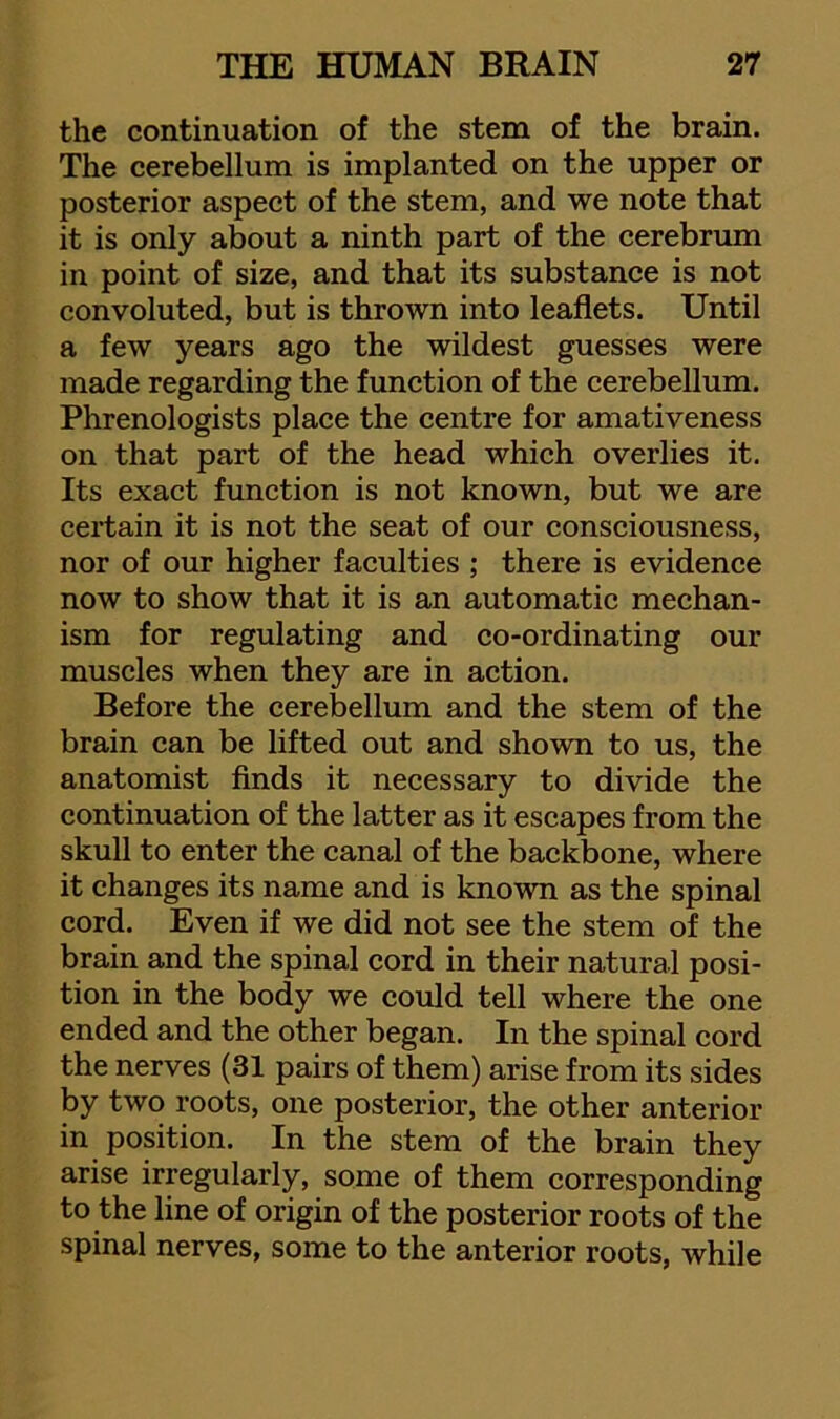 the continuation of the stem of the brain. The cerebellum is implanted on the upper or posterior aspect of the stem, and we note that it is only about a ninth part of the cerebrum in point of size, and that its substance is not convoluted, but is thrown into leaflets. Until a few years ago the wildest guesses were made regarding the function of the cerebellum. Phrenologists place the centre for amativeness on that part of the head which overlies it. Its exact function is not known, but we are certain it is not the seat of our consciousness, nor of our higher faculties ; there is evidence now to show that it is an automatic mechan- ism for regulating and co-ordinating our muscles when they are in action. Before the cerebellum and the stem of the brain can be lifted out and shown to us, the anatomist finds it necessary to divide the continuation of the latter as it escapes from the skull to enter the canal of the backbone, where it changes its name and is known as the spinal cord. Even if we did not see the stem of the brain and the spinal cord in their natural posi- tion in the body we could tell where the one ended and the other began. In the spinal cord the nerves (31 pairs of them) arise from its sides by two roots, one posterior, the other anterior in position. In the stem of the brain they arise irregularly, some of them corresponding to the line of origin of the posterior roots of the spinal nerves, some to the anterior roots, while