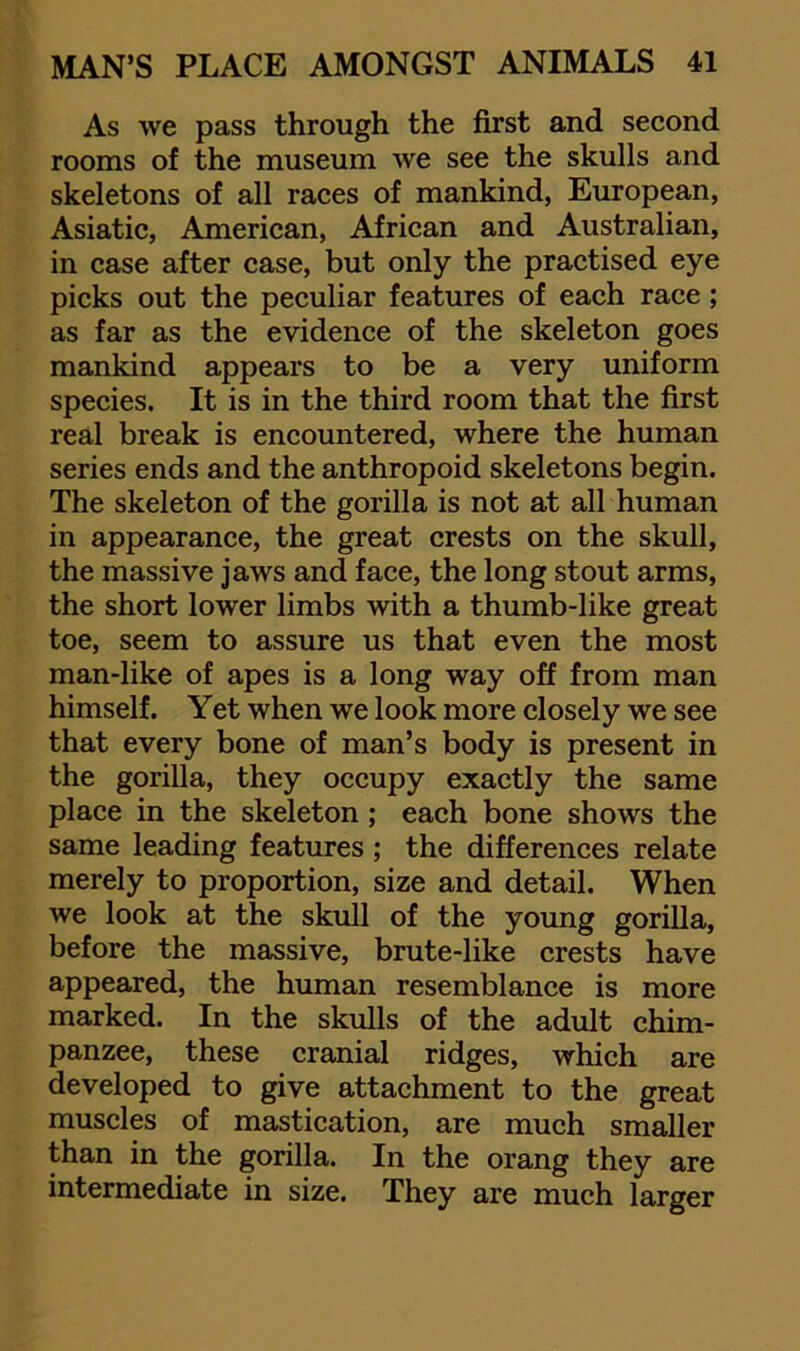 As we pass through the first and second rooms of the museum we see the skulls and skeletons of all races of mankind, European, Asiatic, American, African and Australian, in case after case, but only the practised eye picks out the peculiar features of each race; as far as the evidence of the skeleton goes mankind appears to be a very uniform species. It is in the third room that the first real break is encountered, where the human series ends and the anthropoid skeletons begin. The skeleton of the gorilla is not at all human in appearance, the great crests on the skull, the massive jaws and face, the long stout arms, the short lower limbs with a thumb-like great toe, seem to assure us that even the most man-like of apes is a long way off from man himself. Yet when we look more closely we see that every bone of man’s body is present in the gorilla, they occupy exactly the same place in the skeleton; each bone shows the same leading features ; the differences relate merely to proportion, size and detail. When we look at the skull of the young gorilla, before the massive, brute-like crests have appeared, the human resemblance is more marked. In the skulls of the adult chim- panzee, these cranial ridges, which are developed to give attachment to the great muscles of mastication, are much smaller than in the gorilla. In the orang they are intermediate in size. They are much larger