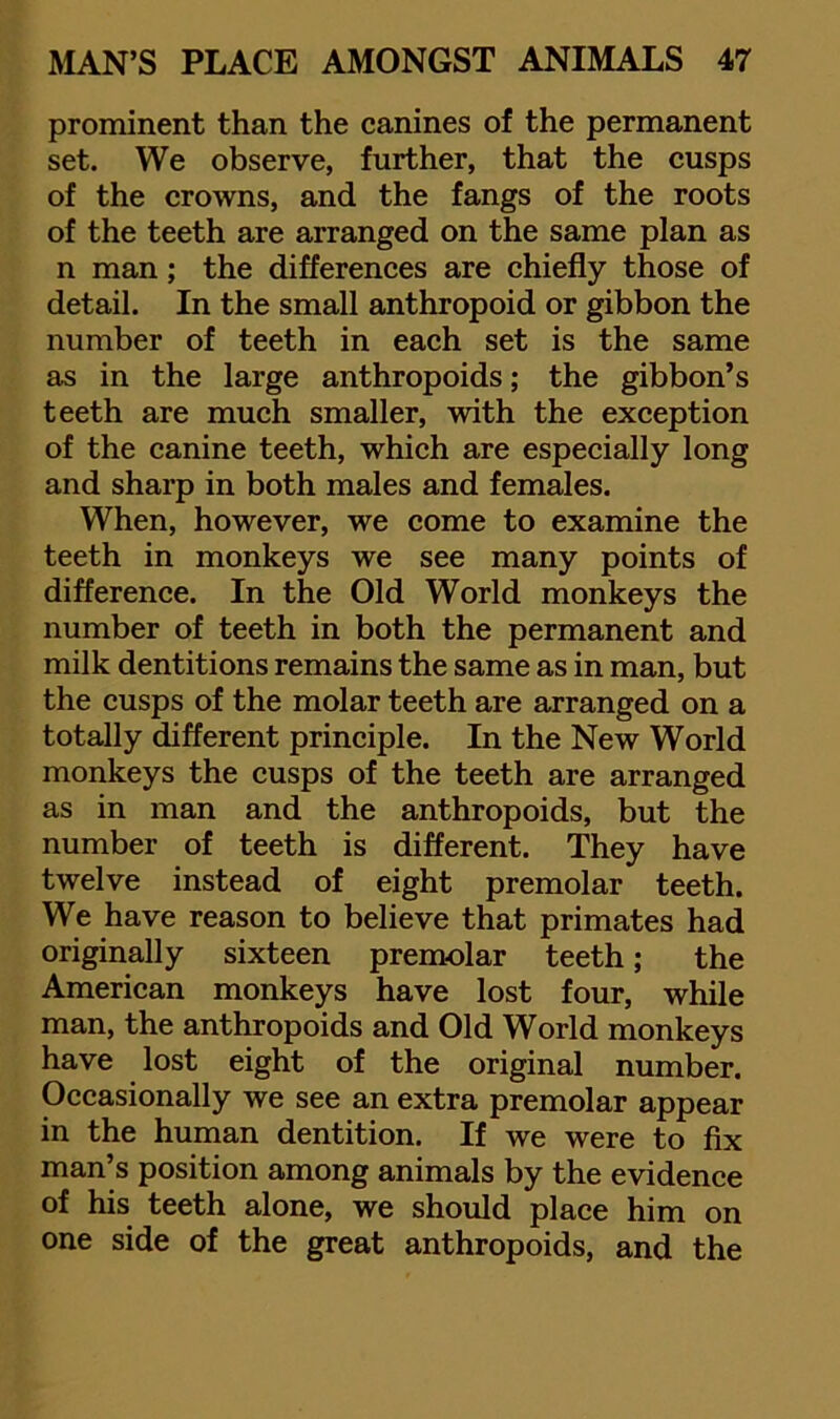 prominent than the canines of the permanent set. We observe, further, that the cusps of the crowns, and the fangs of the roots of the teeth are arranged on the same plan as n man; the differences are chiefly those of detail. In the small anthropoid or gibbon the number of teeth in each set is the same as in the large anthropoids; the gibbon’s teeth are much smaller, with the exception of the canine teeth, which are especially long and sharp in both males and females. When, however, we come to examine the teeth in monkeys we see many points of difference. In the Old World monkeys the number of teeth in both the permanent and milk dentitions remains the same as in man, but the cusps of the molar teeth are arranged on a totally different principle. In the New World monkeys the cusps of the teeth are arranged as in man and the anthropoids, but the number of teeth is different. They have twelve instead of eight premolar teeth. We have reason to believe that primates had originally sixteen premolar teeth; the American monkeys have lost four, while man, the anthropoids and Old World monkeys have lost eight of the original number. Occasionally we see an extra premolar appear in the human dentition. If we were to fix man’s position among animals by the evidence of his teeth alone, we should place him on one side of the great anthropoids, and the