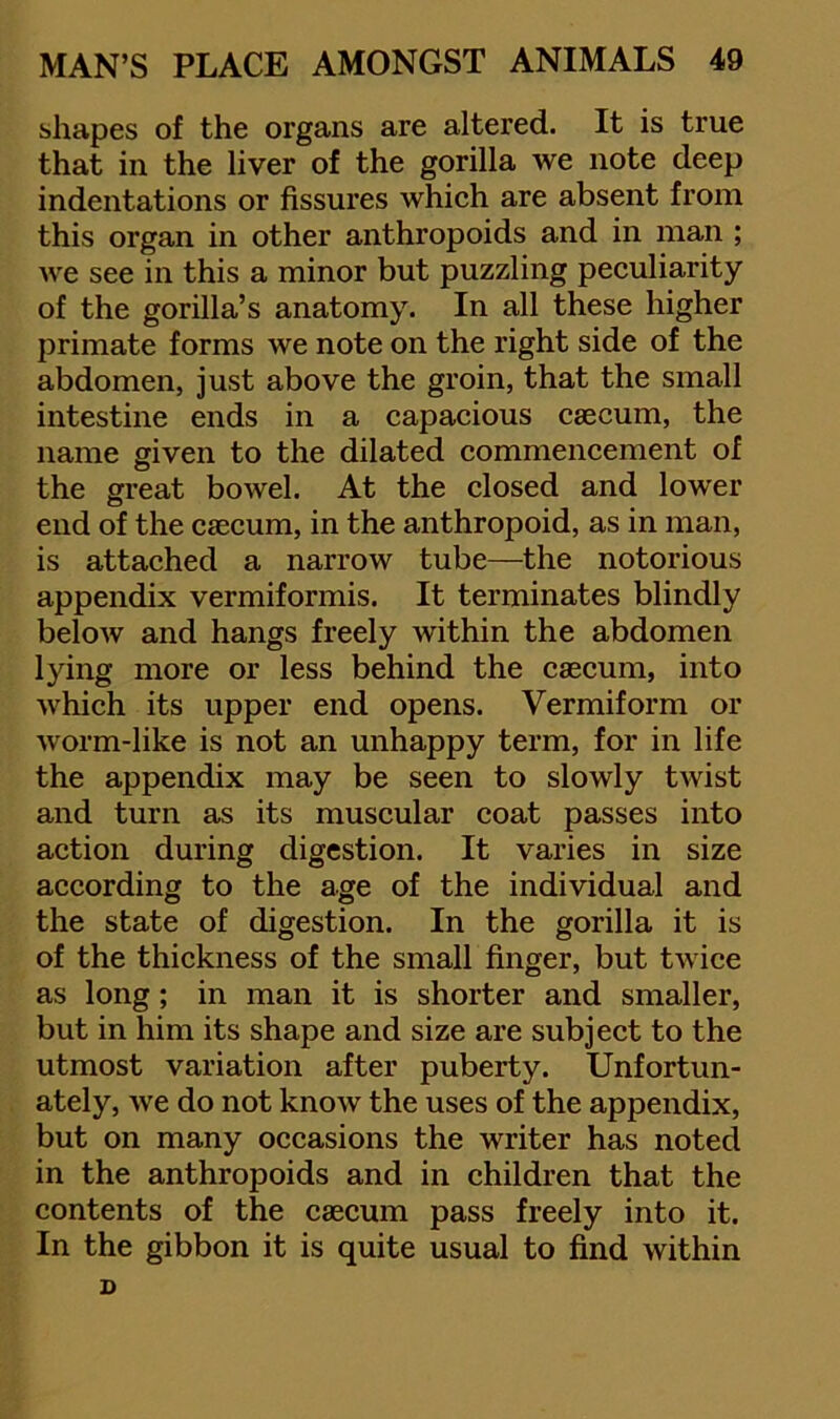 shapes of the organs are altered. It is true that in the liver of the gorilla we note deep indentations or fissures which are absent from this organ in other anthropoids and in man ; we see in this a minor but puzzling peculiarity of the gorilla’s anatomy. In all these higher primate forms we note on the right side of the abdomen, just above the groin, that the small intestine ends in a capacious caecum, the name given to the dilated commencement of the great bowel. At the closed and lower end of the caecum, in the anthropoid, as in man, is attached a narrow tube—the notorious appendix vermiformis. It terminates blindly below and hangs freely within the abdomen lying more or less behind the caecum, into which its upper end opens. Vermiform or worm-like is not an unhappy term, for in life the appendix may be seen to slowly twist and turn as its muscular coat passes into action during digestion. It varies in size according to the age of the individual and the state of digestion. In the gorilla it is of the thickness of the small finger, but twice as long; in man it is shorter and smaller, but in him its shape and size are subject to the utmost variation after puberty. Unfortun- ately, we do not know the uses of the appendix, but on many occasions the writer has noted in the anthropoids and in children that the contents of the caecum pass freely into it. In the gibbon it is quite usual to find within n