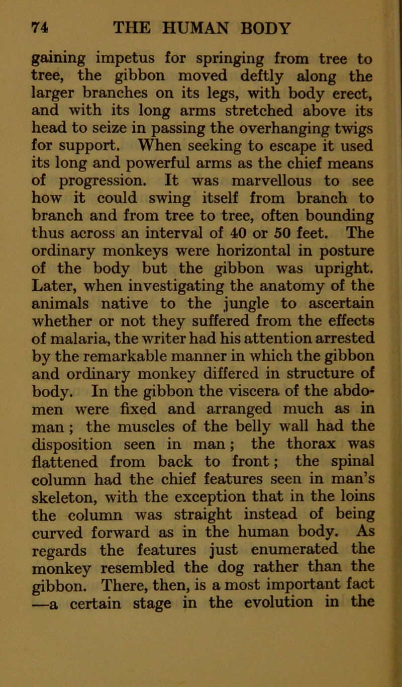 gaining impetus for springing from tree to tree, the gibbon moved deftly along the larger branches on its legs, with body erect, and with its long arms stretched above its head to seize in passing the overhanging twigs for support. When seeking to escape it used its long and powerful arms as the chief means of progression. It was marvellous to see how it could swing itself from branch to branch and from tree to tree, often bounding thus across an interval of 40 or 50 feet. The ordinary monkeys were horizontal in posture of the body but the gibbon was upright. Later, when investigating the anatomy of the animals native to the jungle to ascertain whether or not they suffered from the effects of malaria, the writer had his attention arrested by the remarkable manner in which the gibbon and ordinary monkey differed in structure of body. In the gibbon the viscera of the abdo- men were fixed and arranged much as in man; the muscles of the belly wall had the disposition seen in man; the thorax was flattened from back to front; the spinal column had the chief features seen in man’s skeleton, with the exception that in the loins the column was straight instead of being curved forward as in the human body. As regards the features just enumerated the monkey resembled the dog rather than the gibbon. There, then, is a most important fact —a certain stage in the evolution in the