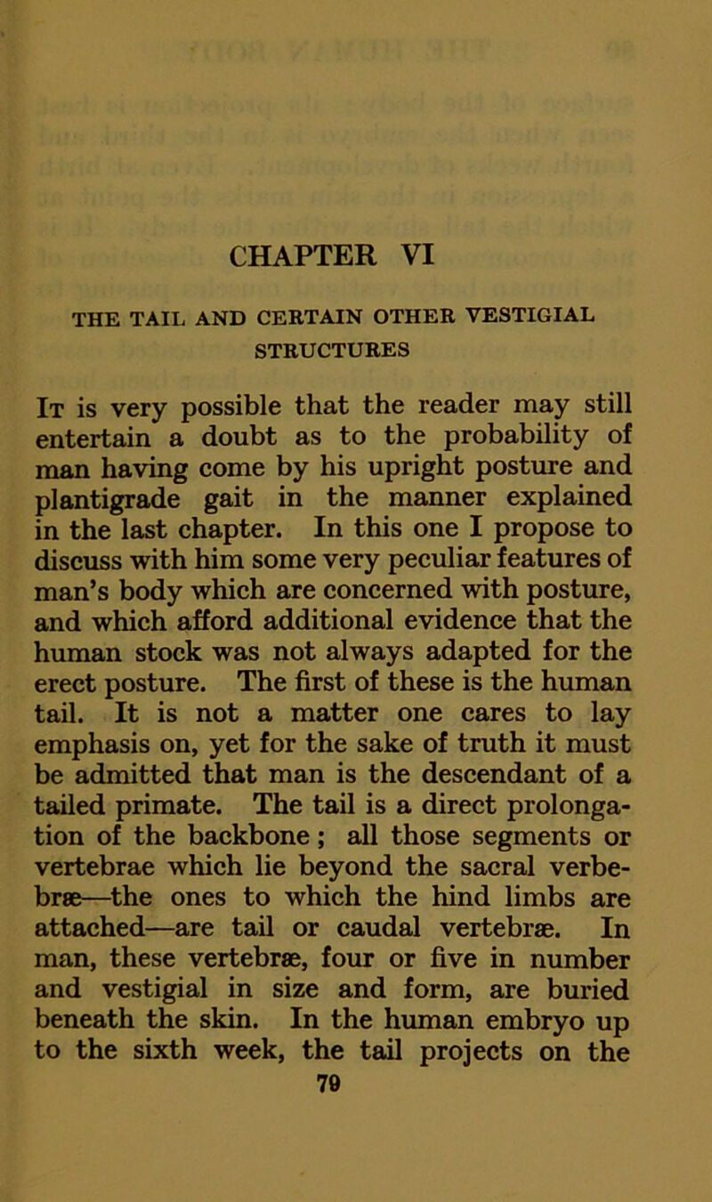 CHAPTER VI THE TAIL AND CERTAIN OTHER VESTIGIAL STRUCTURES It is very possible that the reader may still entertain a doubt as to the probability of man having come by his upright posture and plantigrade gait in the manner explained in the last chapter. In this one I propose to discuss with him some very peculiar features of man’s body which are concerned with posture, and which afford additional evidence that the human stock was not always adapted for the erect posture. The first of these is the human tail. It is not a matter one cares to lay emphasis on, yet for the sake of truth it must be admitted that man is the descendant of a tailed primate. The tail is a direct prolonga- tion of the backbone; all those segments or vertebrae which lie beyond the sacral verbe- brse—^the ones to which the hind limbs are attached—are tail or caudal vertebrae. In man, these vertebrae, four or five in number and vestigial in size and form, are buried beneath the skin. In the human embryo up to the sixth week, the tail projects on the 70