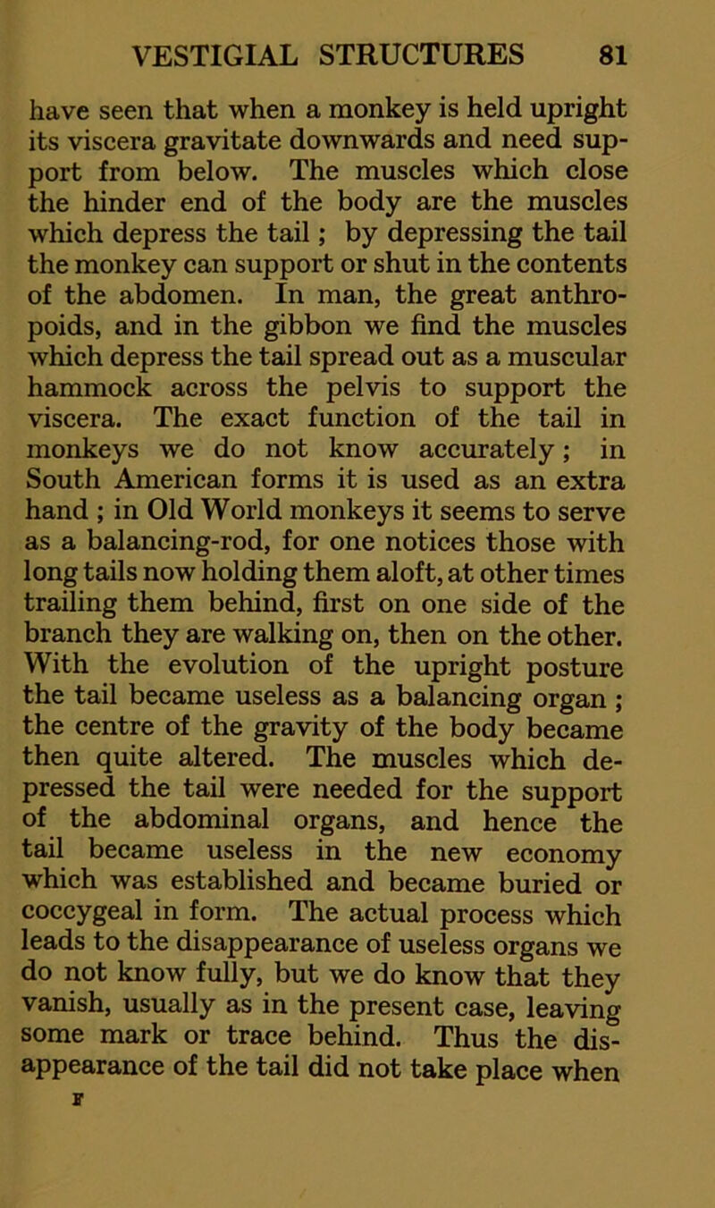 have seen that when a monkey is held upright its viscera gravitate downwards and need sup- port from below. The muscles which close the hinder end of the body are the muscles which depress the tail; by depressing the tail the monkey can support or shut in the contents of the abdomen. In man, the great anthro- poids, and in the gibbon we find the muscles which depress the tail spread out as a muscular hammock across the pelvis to support the viscera. The exact function of the tail in monkeys we do not know accurately; in South American forms it is used as an extra hand ; in Old World monkeys it seems to serve as a balancing-rod, for one notices those with long tails now holding them aloft, at other times trailing them behind, first on one side of the branch they are walking on, then on the other. With the evolution of the upright posture the tail became useless as a balancing organ ; the centre of the gravity of the body became then quite altered. The muscles which de- pressed the tail were needed for the support of the abdominal organs, and hence the tail became useless in the new economy which was established and became buried or coccygeal in form. The actual process which leads to the disappearance of useless organs we do not know fully, but we do know that they vanish, usually as in the present case, leaving some mark or trace behind. Thus the dis- appearance of the tail did not take place when F