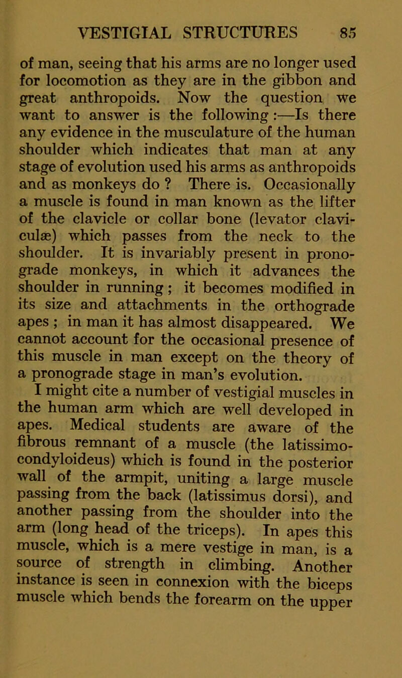 of man, seeing that his arms are no longer used for locomotion as they are in the gibbon and great anthropoids. Now the question we want to answer is the following:—Is there any evidence in the musculature of the human shoulder which indicates that man at any stage of evolution used his arms as anthropoids and as monkeys do ? There is. Occasionally a muscle is found in man known as the lifter of the clavicle or collar bone (levator clavi- culae) which passes from the neck to the shoulder. It is invariably present in prono- grade monkeys, in which it advances the shoulder in running; it becomes modified in its size and attachments in the orthograde apes ; in man it has almost disappeared. We cannot account for the occasional presence of this muscle in man except on the theory of a pronograde stage in man’s evolution. I might cite a number of vestigial muscles in the human arm which are well developed in apes. Medical students are aware of the fibrous remnant of a muscle (the latissimo- condyloideus) which is found in the posterior wall of the armpit, uniting a large muscle passing from the back (latissimus dorsi), and another passing from the shoulder into the arm (long head of the triceps). In apes this muscle, which is a mere vestige in man, is a source of strength in climbing. Another instance is seen in connexion with the biceps muscle which bends the forearm on the upper