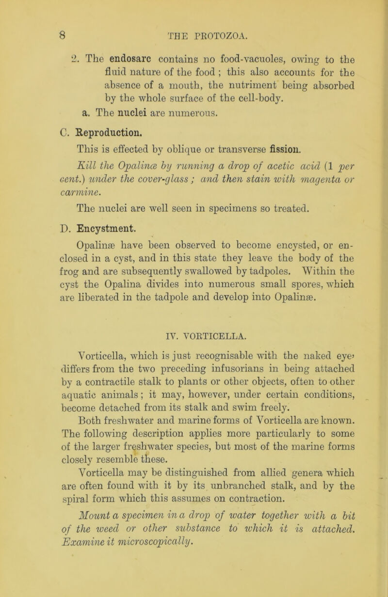2. The endosarc contains no food-vacuoles, owing to the fluid nature of the food ; this also accounts for the absence of a mouth, the nutriment being absorbed by the whole surface of the cell-body, a. The nuclei are numerous. C. Reproduction. This is effected by oblique or transverse fission. Kill the Opalines by running a drop of acetic acid (1 per Gent.) under the cover-glass; and then stain with magenta or carmine. The nuclei are well seen in specimens so treated. D. Encystment. Opalin® have been observed to become encysted, or en- closed in a cyst, and in this state they leave the body of the frog and are subsequently swallowed by tadpoles. Within the cyst the Opalina divides into numerous small spores, which are liberated in the tadpole and develop into Opalin®. IV. VORTICELLA. Vorticella, which is just recognisable with the naked eye’ differs from the two preceding infusorians in being attached by a contractile stalk to plants or other objects, often to other aquatic animals; it may, however, under certain conditions, become detached from its stalk and swim freely. Both freshwater and marine forms of Vorticella are known. The following description applies more particularly to some of the larger freshwater species, but most of the marine forms closely resemble these. Vorticella may be distinguished from allied genera which are often found with it by its unbranched stalk, and by the spiral form which this assumes on contraction. Mount a specimen in a drop of water together with a bit of the iveed or other substance to which it is attached. Examine it microscopically.