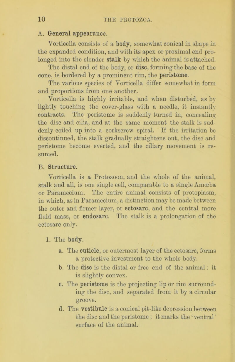 A. General appearance. Vorticella consists of a body, somewhat conical in shape in the expanded condition, and with its apex or proximal end pro- longed into the slender stalk by which the animal is attached. The distal end of the body, or disc, forming the base of the cone, is bordered by a prominent rim, the peristome. The various species of Vorticella differ somewhat in form and proportions from one another. Vorticella is highly irritable, and when disturbed, as by lightly touching the cover-glass with a needle, it instantly contracts. The peristome is suddenly turned in, concealing the disc and cilia, and at the same moment the stalk is sud- denly coiled up into a corkscrew spiral. If the irritation be discontinued, the stalk gradually straightens out, the disc and peristome become everted, and the ciliary movement is re- sumed. B. Structure. Vorticella is a Protozoon, and the whole of the animal, stalk and all, is one single cell, comparable to a single Amoeba or Paramecium. The entire animal consists of protoplasm, in which, as in Paramecium, a distinction may be made between the outer and firmer layer, or ectosarc, and the central more fluid mass, or endosarc. The stalk is a prolongation of the ectosarc only. 1. The body. a. The cuticle, or outermost layer of the ectosarc, forms a protective investment to the whole body. b. The disc is the distal or free end of the animal: it is slightly convex. c. The peristome is the projecting lip or rim surround- ing the disc, and separated from it by a circular groove. d. The vestibule is a conical pit-like depression between the disc and the peristome : it marks the ‘ ventral ’ surface of the animal.