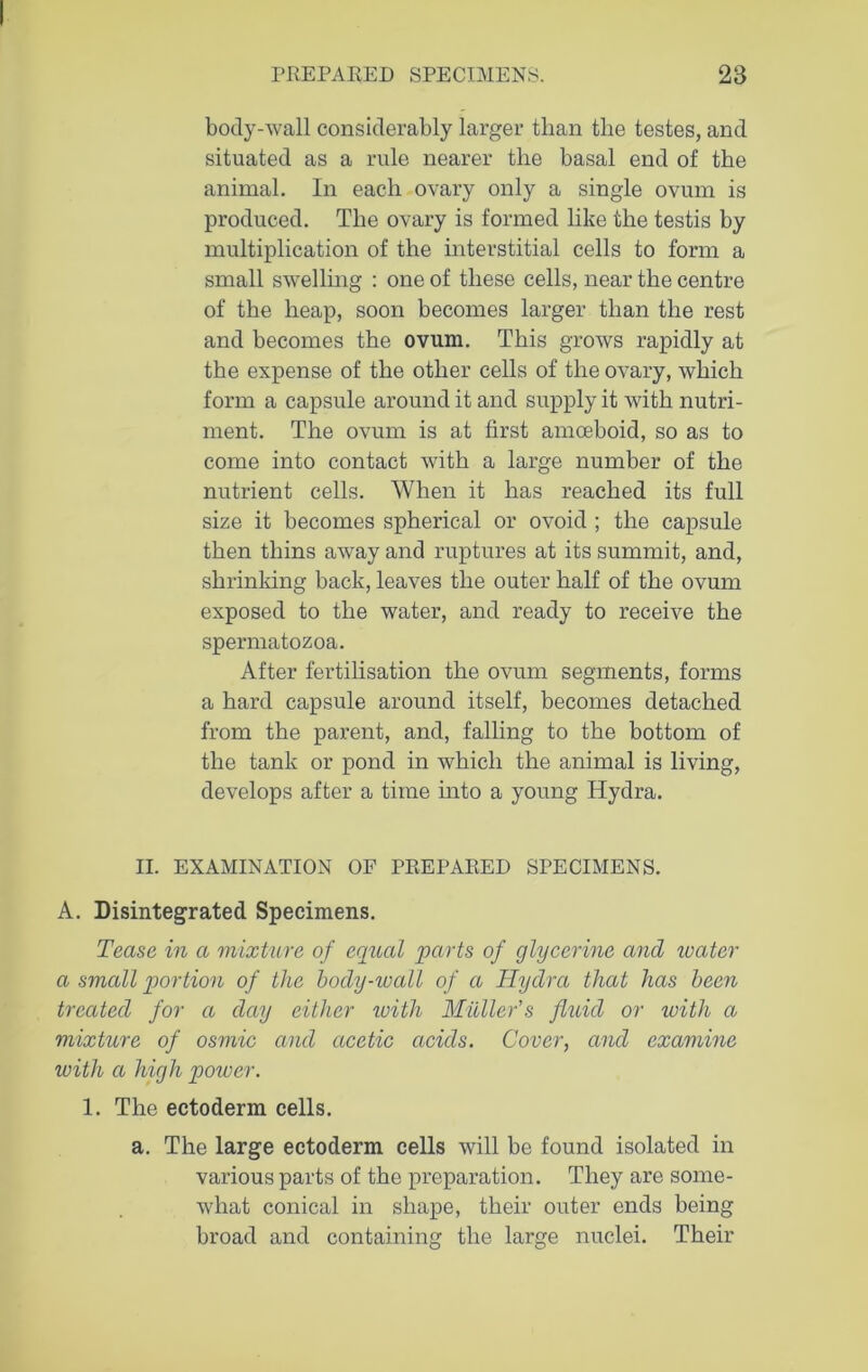 body-wall considerably larger than the testes, and situated as a rule nearer the basal end of the animal. In each ovary only a single ovum is produced. The ovary is formed like the testis by multiplication of the interstitial cells to form a small swelling : one of these cells, near the centre of the heap, soon becomes larger than the rest and becomes the ovum. This grows rapidly at the expense of the other cells of the ovary, which form a capsule around it and supply it with nutri- ment. The ovum is at first amoeboid, so as to come into contact with a large number of the nutrient cells. When it has reached its full size it becomes spherical or ovoid ; the capsule then thins away and ruptures at its summit, and, shrinking back, leaves the outer half of the ovum exposed to the water, and ready to receive the spermatozoa. After fertilisation the ovum segments, forms a hard capsule around itself, becomes detached from the parent, and, falling to the bottom of the tank or pond in which the animal is living, develops after a time into a young Hydra. II. EXAMINATION OF PREPARED SPECIMENS. A. Disintegrated Specimens. Tease in a mixture of equal parts of glycerine and water a small portion of the body-wall of a Hydra that has been treated for a day either with Muller's fluid or with a mixture of osmic and acetic acids. Cover, and examine with cl high poiver. 1. The ectoderm cells. a. The large ectoderm cells will be found isolated in various parts of the preparation. They are some- what conical in shape, their outer ends being broad and containing the large nuclei. Their