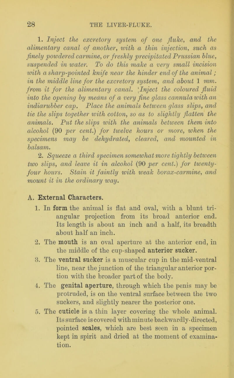 1. Inject the excretory system of one fluke, and the alimentary canal of another, with a thin injection, such as finely powdered carmine, or freshly precipitated Prussian blue, suspended in water. To do this make a very small incision with a sharp-pointed knife near the hinder end of the animal; in the middle line for the excretory system, and about 1 mm. from it for the alimentary canal. ‘Inject the coloured fluid into the opening by means of a very fine glass cannula with an indiarubber cap. Place the animals between glass slips, and tie the slips together with cotton, so as to slightly flatten the animals. Put the slips with the animals between them into alcohol (90 pier cent.) for twelve hours or more, when the specimens may be dehydrated, cleared, and mounted in balsam. 2. Squeeze a third specimen somewhat more tightly betiveen two slips, and leave it in alcohol (90 per cent.) for twenty- four hours. Stain it faintly icith iveak borax-carmine, and mount it in the ordinary way. A. External Characters. 1. In form the animal is flat and oval, with a blunt tri- angular projection from its broad anterior end. Its length is about an inch and a half, its breadth about half an inch. 2. The mouth is an oval aperture at the anterior end, in the middle of the cup-shaped anterior sucker. 3. The ventral sucker is a muscular cup in the mid-ventral line, near the junction of the triangular anterior por- tion with the broader part of the body. 4. The genital aperture, through which the penis may be protruded, is on the ventral surface between the two suckers, and slightly nearer the posterior one. 5. The cuticle is a thin layer covering the whole animal. Its surface is covered with minute backwardly- directed, pointed scales, which are best seen in a specimen kept in spirit and dried at the moment of examina- tion.