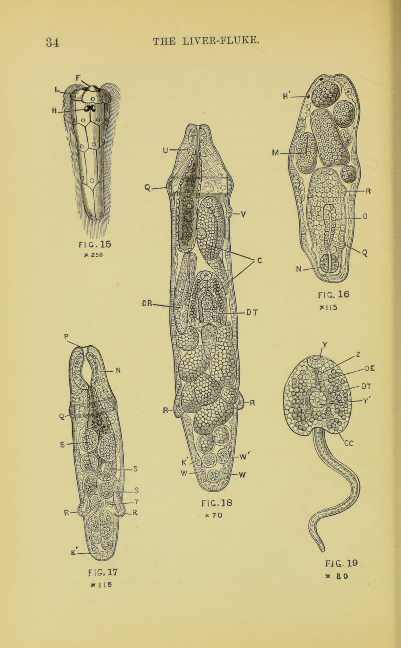 F. FIG. 17 * I I 5 FIG. 16 *115 FJG. 19 * 80