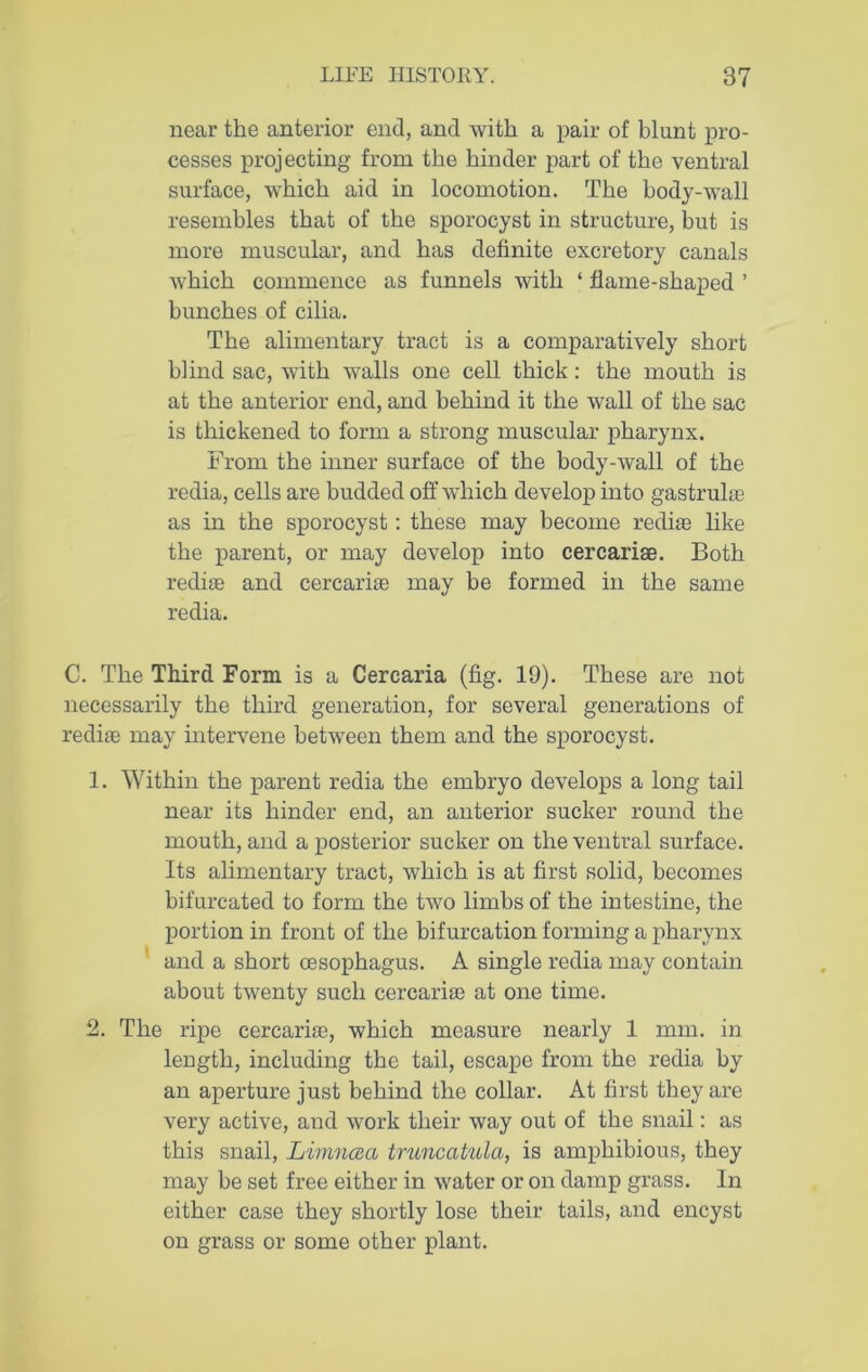 near the anterior end, and with a pair of blunt pro- cesses projecting from the hinder part of the ventral surface, which aid in locomotion. The body-wall resembles that of the sporocyst in structure, but is more muscular, and has definite excretory canals which commence as funnels with ‘ flame-shaped ’ bunches of cilia. The alimentary tract is a comparatively short blind sac, with walls one cell thick: the mouth is at the anterior end, and behind it the wall of the sac is thickened to form a strong muscular pharynx. From the inner surface of the body-wall of the redia, cells are budded off which develop into gastruhe as in the sporocyst: these may become redias like the parent, or may develop into cercarise. Both redise and cercarise may be formed in the same redia. C. The Third Form is a Cercaria (fig. 19). These are not necessarily the third generation, for several generations of redise may intervene between them and the sporocyst. 1. Within the parent redia the embryo develops a long tail near its hinder end, an anterior sucker round the mouth, and a posterior sucker on the ventral surface. Its alimentary tract, which is at first solid, becomes bifurcated to form the two limbs of the intestine, the portion in front of the bifurcation forming a pharynx and a short oesophagus. A single redia may contain about twenty such cercarise at one time. 2. The ripe cercarise, which measure nearly 1 mm. in length, including the tail, escape from the redia by an aperture just behind the collar. At first they are very active, and work their way out of the snail: as this snail, Limncea truncatulci, is amphibious, they may be set free either in water or on damp grass. In either case they shortly lose their tails, and encyst on grass or some other plant.