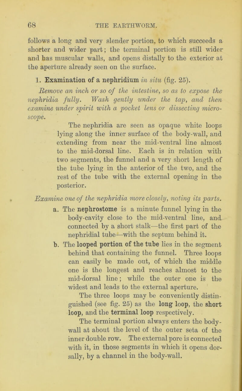 follows a long and very slender portion, to which succeeds a shorter and wider part; the terminal portion is still wider and has muscular walls, and opens distally to the exterior at the aperture already seen on the surface. 1. Examination of a nephridium in situ (fig. 25). Remove an inch or so of the intestine, so as to expose the nephridia fully. Wash gently under the tap, and then examine under spirit with a pocket lens or dissecting micro- scope. The nephridia are seen as opaque white loops lying along the inner surface of the body-wall, and extending from near the mid-ventral line almost to the mid-dorsal line. Each is in relation with two segments, the funnel and a very short length of the tube lying in the anterior of the two, and the rest of the tube with the external opening in the posterior. Examine one of the nephridia more closely, noting its parts. a. The nephrostome is a minute funnel lying in the body-cavity close to the mid-ventral line, and connected by a short stalk—the first part of the nephridial tube—with the septum behind it. b. The looped portion of the tube lies in the segment behind that containing the funnel. Three loops can easily be made out, of which the middle one is the longest and reaches almost to the mid-dorsal line; while the outer one is the widest and leads to the external aperture. The three loops may be conveniently distin- guished (see fig. 25) as the long loop, the short loop, and the terminal loop respectively. The terminal portion always enters the body- wall at about the level of the outer seta of the inner double row. The external pore is connected with it, in those segments in which it opens dor- sally, by a channel in the body-wall.