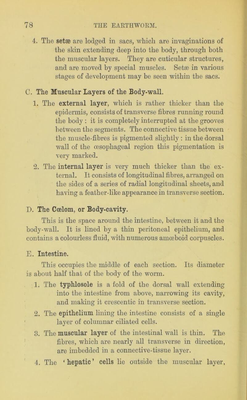 4. The setae are lodged in sacs, which are invaginations of the skin extending deep into the body, through both the muscular layers. They are cuticular structures, and are moved by special muscles. Setae in various stages of development may be seen within the sacs. C. The Muscular Layers of the Body-wall. 1. The external layer, which is rather thicker than the epidermis, consists of transverse fibres running round the body : it is completely interrupted at the grooves between the segments. The connective tissue between the muscle-fibres is pigmented slightly : in the dorsal wall of the oesophageal region this pigmentation is very marked. 2. The internal layer is very much thicker than the ex- ternal. It consists of longitudinal fibres, arranged on the sides of a series of radial longitudinal sheets, and having a feather-like appearance in transverse section. D. The Coelom, or Body-cavity. This is the space around the intestine, between it and the body-wall. It is lined by a thin peritoneal epithelium, and contains a colourless fluid, with numerous amoeboid corpuscles. E. Intestine. This occupies the middle of each section. Its diameter is about half that of the body of the worm. 1. The typhlosole is a fold of the dorsal wall extending into the intestine from above, narrowing its cavity, and making it crescentic in transverse section. 2. The epithelium lining the intestine consists of a single layer of columnar ciliated cells. 3. The muscular layer of the intestinal wall is thin. The fibres, which are nearly all transverse in direction, are imbedded in a connective-tissue layer. 4. The ‘hepatic’ cells lie outside the muscular layer,