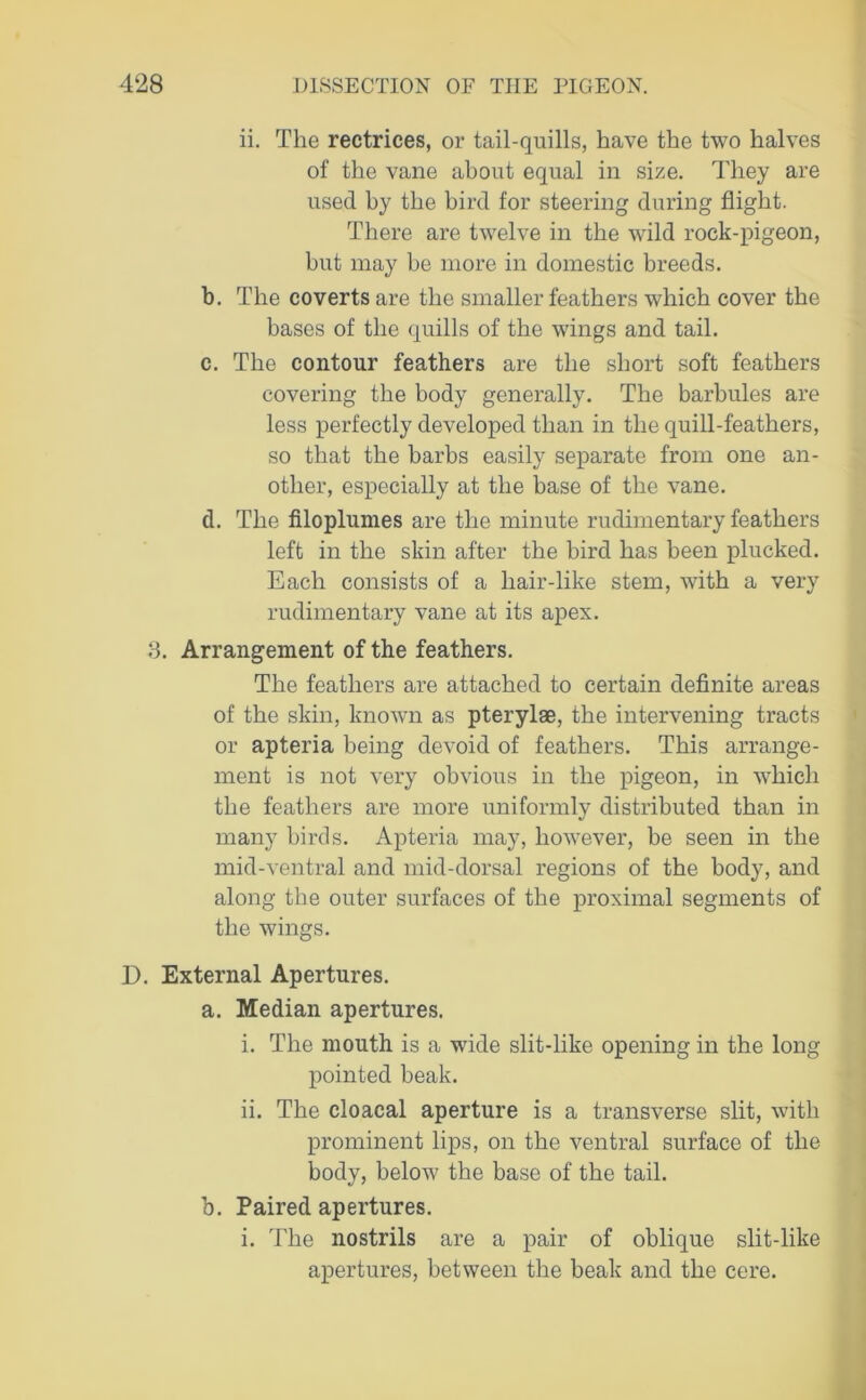 ii. The rectrices, or tail-quills, have the two halves of the vane about equal in size. They are used by the bird for steering during flight. There are twelve in the wild rock-pigeon, but may be more in domestic breeds. b. The coverts are the smaller feathers which cover the bases of the quills of the wings and tail. c. The contour feathers are the short soft feathers covering the body generally. The barbules are less perfectly developed than in the quill-feathers, so that the barbs easily separate from one an- other, especially at the base of the vane. d. The filoplumes are the minute rudimentary feathers left in the skin after the bird has been plucked. Each consists of a liair-like stem, with a very rudimentary vane at its apex. 8. Arrangement of the feathers. The feathers are attached to certain definite areas of the skin, known as pterylae, the intervening tracts or apteria being devoid of feathers. This arrange- ment is not very obvious in the pigeon, in which the feathers are more uniformly distributed than in many birds. Apteria may, however, be seen in the mid-ventral and mid-dorsal regions of the body, and along the outer surfaces of the proximal segments of the wings. D. External Apertures. a. Median apertures. i. The mouth is a wide slit-like opening in the long pointed beak. ii. The cloacal aperture is a transverse slit, with prominent lips, on the ventral surface of the body, below the base of the tail. b. Paired apertures. i. The nostrils are a pair of oblique slit-like apertures, between the beak and the cere.