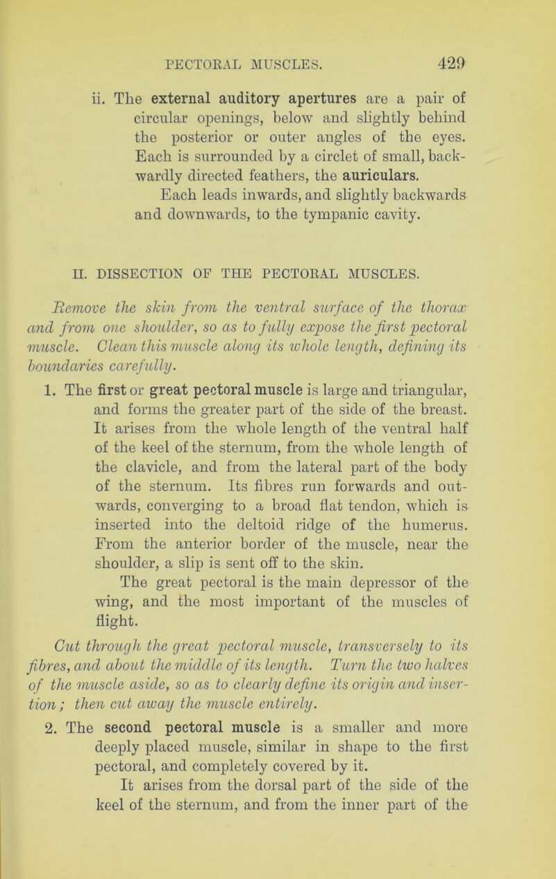 ii. The external auditory apertures are a pair of circular openings, below and slightly behind the posterior or outer angles of the eyes. Each is surrounded by a circlet of small, back- wardly directed feathers, the auriculars. Each leads inwards, and slightly backwards and downwards, to the tympanic cavity. II. DISSECTION OF THE PECTORAL MUSCLES. Bcmove the shin from the ventral surface of the thorax and from one shoulder, so as to fully expose the first pectoral muscle. Glean this muscle along its ivliolc length, defining its boundaries carefully. 1. The first or great pectoral muscle is large and triangular, and forms the greater part of the side of the breast. It arises from the whole length of the ventral half of the keel of the sternum, from the whole length of the clavicle, and from the lateral part of the body of the sternum. Its fibres run forwards and out- wards, converging to a broad flat tendon, which is inserted into the deltoid ridge of the humerus. From the anterior border of the muscle, near the shoulder, a slip is sent off to the skin. The great pectoral is the main depressor of the wing, and the most important of the muscles of flight. Cut through the great pectoral muscle, transversely to its fibres, and about the middle of its length. Turn the two halves of the muscle aside, so as to clearly define its origin and inser- tion ; then cut aivay the muscle entirely. 2. The second pectoral muscle is a smaller and more deeply placed muscle, similar in shape to the first pectoral, and completely covered by it. It arises from the dorsal part of the side of the keel of the sternum, and from the inner part of the