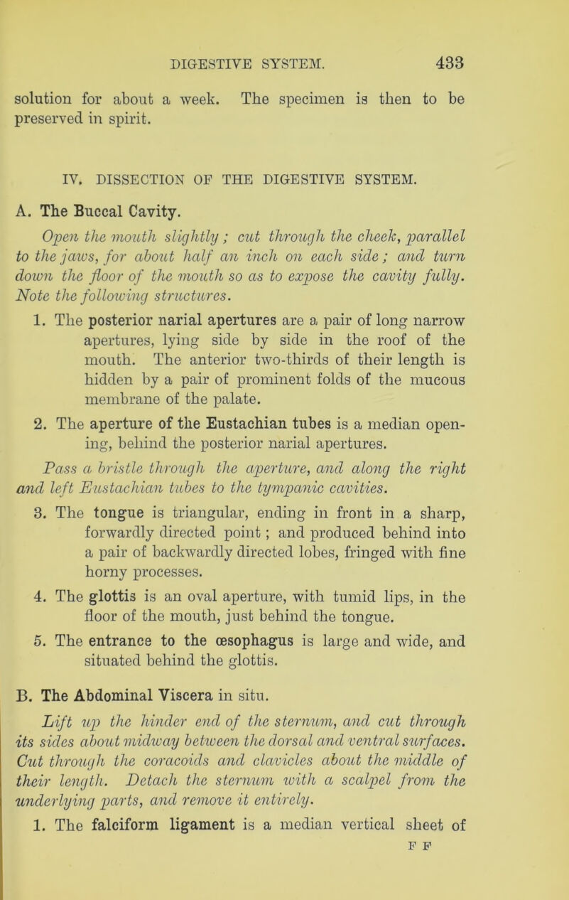 solution for about a week. The specimen is then to be preserved in spirit. IV. DISSECTION OF THE DIGESTIVE SYSTEM. A. The Buccal Cavity. Open the mouth slightly; cut through the cheek, parallel to the jaivs, for about half an inch on each side; and turn down the floor of the mouth so as to expose the cavity fully. Note the following structures. 1. The posterior narial apertures are a pair of long narrow apertures, lying side by side in the roof of the mouth. The anterior two-thirds of their length is hidden by a pair of prominent folds of the mucous membrane of the palate. 2. The aperture of the Eustachian tubes is a median open- ing, behind the posterior narial apertures. Pass a bristle through the aperture, and along the right and left Eustachian tubes to the tympanic cavities. 3. The tongue is triangular, ending in front in a sharp, forwardly directed point; and produced behind into a pair of backwardly directed lobes, fringed with fine horny processes. 4. The glottis is an oval aperture, with tumid lips, in the floor of the mouth, just behind the tongue. 5. The entrance to the oesophagus is large and wide, and situated behind the glottis. B. The Abdominal Viscera in situ. Lift up the hinder end of the sternum, and cut through its sides about midway between the dorsal and ventral surfaces. Cut through the coracoids and clavicles about the middle of their length. Detach the sternum with a scalpel from the underlying parts, and remove it entirely. 1. The falciform ligament is a median vertical sheet of F F