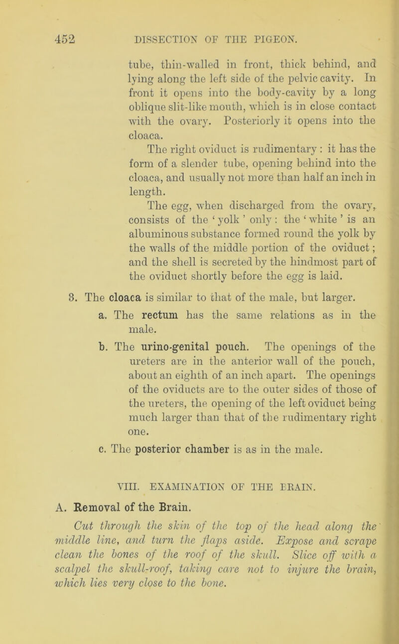 tube, thin-walled in front, thick behind, and lying along the left side of the pelvic cavity. In front it opens into the body-cavity by a long oblique slit-like mouth, which is in close contact with the ovary. Posteriorly it opens into the cloaca. The right oviduct is rudimentary : it has the form of a slender tube, opening behind into the cloaca, and usually not more than half an inch in length. The egg, when discharged from the ovary, consists of the ‘ yolk ’ only : the ‘ white ’ is an albuminous substance formed round the yolk by the walls of the middle portion of the oviduct; and the shell is secreted by the hindmost part of the oviduct shortly before the egg is laid. 3. The cloaca is similar to chat of the male, but larger. a. The rectum has the same relations as in the male. b. The urino-genital pouch. The openings of the ureters are in the anterior wall of the pouch, about an eighth of an inch apart. The openings of the oviducts are to the outer sides of those of the ureters, the opening of the left oviduct being much larger than that of the rudimentary right one. c. The posterior chamber is as in the male. VIII. EXAMINATION OF THE BRAIN. A. Removal of the Brain. Cut through the skin of the top of the head along the' middle line, and tarn the flaps aside. Expose and scrape clean the hones of the roof of the skull. Slice off ivith a scalpel the skull-roof, taking care not to injure the brain, which lies very close to the hone.