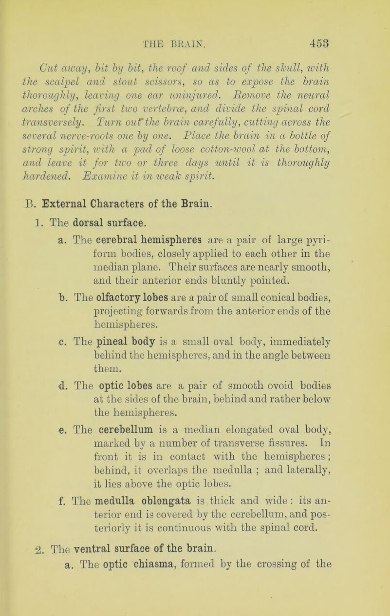 Cut away, bit by bit, the roof and sides of the skull, with the scalpel and stout scissors, so as to expose the brain thoroughly, leaving one ear uninjured. Remove the neural arches of the first two vertebra, and divide the spinal cord transversely. Turn oufthe brain carefully, cutting across the several nerve-roots one by one. Place the brain in a bottle of strong spirit, with a pad of loose cotton-wool at the bottom, and leave it for two or three days until it is thoroughly hardened. Examine it in weak spirit. B. External Characters of the Brain. 1. The dorsal surface. a. The cerebral hemispheres are a pair of large pyri- form bodies, closely applied to each other in the median plane. Their surfaces are nearly smooth, and their anterior ends bluntly pointed. b. The olfactory lobes are a pair of small conical bodies, projecting forwards from the anterior ends of the hemispheres. c. The pineal body is a small oval body, immediately behind the hemispheres, and in the angle between them. d. The optic lobes are a pair of smooth ovoid bodies at the sides of the brain, behind and rather below the hemispheres. e. The cerebellum is a median elongated oval body, marked by a number of transverse fissures. In front it is in contact with the hemispheres; behind, it overlaps the medulla ; and laterally, it lies above the optic lobes. f. The medulla oblongata is thick and wide: its an- terior end is covered by the cerebellum, and pos- teriorly it is continuous with the spinal cord. ■2. The ventral surface of the brain. a. The optic chiasma, formed by the crossing of the