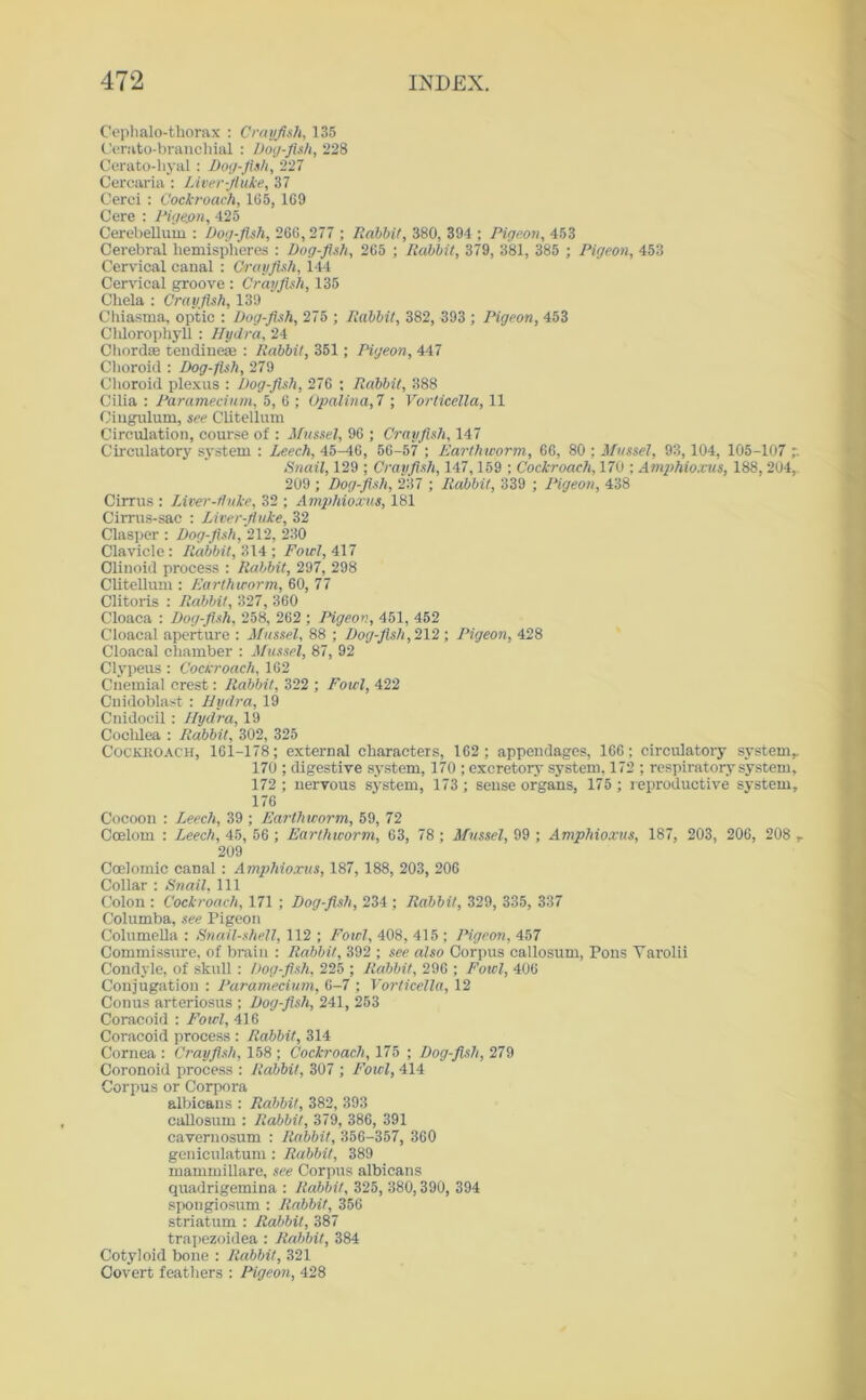 Cephalo-thorax : Crayfish, 135 Cerato-branclrial : Dog-fish, 228 Cerato-hyal : Dog-fish, 227 Cercaria : Liver-fluke, 37 Cerci : Cockroach, 165,169 Cere : Pigeon, 425 Cerebellum : Dog-fish, 266,277 ; Rabbit, 380, 394 ; Pigeon, 453 Cerebral hemispheres : Dog-fish, 265 ; Rabbit, 379, 381, 385 ; Pigeon, 453 Cervical canal : Crayfish, 144 Cervical groove : Crayfish, 135 Chela : Crayfish, 139 Chiasma, optic : Dog-fish, 275 ; Rabbit, 382, 393 ; Pigeon, 453 Cldorophyll : Hydra, 24 Chord® tendinese : Rabbit, 351; Pigeon, 447 Choroid : Dog-fish, 279 Choroid plexus : Dog-fish, 276 ; Rabbit, 388 Cilia : Paramecium, 5, 6 ; Opalina, 7 ; Vorticella, 11 Cingulum, see Clitellum Circulation, course of : Mussel, 96 ; Crayfish, 147 Circulatory system : Leech, 45-46, 56-57 ; Earthworm, 66, 80 ; Mussel, 93,104, 105-107 Snail, 129 ; Crayfish, 147,159 : Cockroach, 170 ; Amphioxus, 188, 204 209 ; Dog-fish, 237 ; Rabbit, 339 ; Pigeon, 438 Cirrus : Liver-tluke, 32 ; Amphioxus, 181 Cirrus-sac : Liver-fluke, 32 Clasper : Dog-fish, 212, 230 Clavicle: Rabbit, 314; Fowl, 417 Oliuoid process : Rabbit, 297, 298 Clitellum : Earthworm, 60, 77 Clitoris : Rabbit, 327, 360 Cloaca : Dog-fish, 258, 262 ; Pigeon, 451, 452 Cloacal aperture : Mussel, 88 ; Dog-fish, 212 ; Pigeon, 428 Cloacal chamber : Mussel, 87, 92 Clypeus : Cocuroach, 162 Cnemial crest: Rabbit, 322 ; Fowl, 422 Cnidoblast : Hydra, 19 Cnidocil : Hydra, 19 Cochlea : Rabbit, 302, 325 Cockroach, 161-178; external characters, 162; appendages, 166; circulatory system 170 ; digestive system, 170 ; excretory system, 172 ; respiratory system 172 ; nervous system, 173 ; sense organs, 175 ; r eproductive system 176 Cocoon : Leech, 39 ; Earthworm, 59, 72 Coelom : Leech, 45, 56; Earthworm, 63, 78 ; Mussel, 99 ; Amphioxus, 187, 203, 206, 208 209 Coelomic canal : Amphioxus, 187, 188, 203, 206 Collar : Snail, 111 Colon : Cockroach, 171 ; Dog-fish, 234 ; Rabbit, 329, 335, 337 Columba, see Pigeon Columella : Snail-shell, 112 ; Fowl, 408, 415 ; Pigeon, 457 Commissure, of brain : Rabbit, 392 ; see also Corpus callosum, Pons Varolii Condyle, of skull : Dog-fish, 225 ; Rabbit, 296 ; Fowl, 406 Conjugation : Paramecium, 6-7 ; Vorticella, 12 Conus arteriosus ; Dog-fish, 241, 253 Coracoid : Fowl, 416 Coracoid process : Rabbit, 314 Cornea : Crayfish, 158 ; Cockroach, 175 ; Dog-fish, 279 Coronoid process : Rabbit, 307 ; Fowl, 414 Corpus or Corpora albicans : Rabbit, 382, 393 callosum : Rabbit, 379, 386, 391 cavernosum : Rabbit, 356-357, 360 geniculatum : Rabbit, 389 mammillare, see Corpus albicans quadrigemina : Rabbit, 325, 380,390, 394 spongiosum : Rabbit, 356 striatum : Rabbit, 387 trapezoidea : Rabbit, 384 Cotyloid bone : Rabbit, 321 Covert feathers : Pigeon, 428