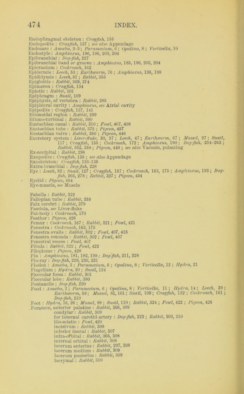 Endopliragmal skeleton : Crayfish, 155 Endopodite : Crayfish, 137 ; see also Appendage Endosaro : Amoeba, 2-3; Paramecium, G ; Opalina, 8 ; Vorticella, 10 Endostyle: Amphioxus, 186, l'JG, 203, 204 Epibranchial: Dog-fish, 227 Epibranchia! band or groove : Amphioxus, 185, 196, 203, 204 Epicrauium : Cockroach, 162 Epidermis : Leech, 53 ; Earthworm, 76 ; Amphioxus, 195, 198 Epididymis : Leech, 51 ; Rabbit, 355 Epiglottis : Rabbit, 369, 374 Epimeron : Crayfish, 134 Epiotic : Rabbit, 301 Epipbragm : Snail, 109 Epiphysis, of vertebra : Rabbit, 285 Epipleural cavity : Amphioxus, see Atrial cavity Epipodite : Crayfish, 137, 141 Ethmoidal region : Rabbit, 299 Ethmo-turbinal: Rabbit, 300 Eustachian canal : Rabbit, 310 ; Fowl, 407, 408 Eustachian tube : Rabbit, 375 ; Pigeon, 457 Eustachian valve : Rabbit, 350 ; Pigeon, 446 Excretory system : Liver-fluke, 30, 37 ; Leech, 47 ; Earthworm, 67 ; Mussel, 97 ; Snail, 117 ; Crayfish, 155 ; Cockroach, 172; Amphioxus, 190 ; Dog-fish, 254-263 ; Rabbit, 352, 358 ; Pigeon, 449 ; see also Vacuole, pulsating Ex-occipital : Rabbit, 296 Exopodite : Crayfish, 135 ; see also Appendage Exoskeleton: Crayfish, 133-135 Extra-branchial: Dog-fish, 228 Eye : Leech, 52 ; -Snail. 127 ; Crayfish, 157 ; Cockroach, 163, 175 ; Amphioxus, 193 ; Dog- fish, 266, 278 ; Rabbit, 327 ; Pigeon, 454 Eyelid : Pigeon, 454 Eye-muscle, see Muscle Fabella : Rabbit, 322 Fallopian tube : Rabbit, 359 Falx cerebri : Rabbit, 379 Fasciola, see Liver-fluke Fat-body : Cockroach, 170 Feather: Pigeon, 426 Femur : Cockroach, 167 ; Rabbit, 321; Fowl, 421 Fenestra : Cockroach, 163, 175 Fenestra ovalis : Rabbit, 302 ; Fowl, 407, 415 Fenestra rotunda : Rabbit, 302 ; Fowl, 407 Fenestral recess : Fowl, 407 Fibula : Rabbit, 322 ; Fowl, 422 Filoplume : Pigeon, 428 Fin : Amphioxus, 181, 182,199; Dog-fish, 211, 228 Fin-ray : Dog-fish, 228, 230, 231 Fission : Amoeba, 3 ; Paramecium, 6 ; Opalina, 8 ; Vorticella, 12 ; Hydra, 21 Flagellum ; Hydra, 20 ; Snail, 124 Floccular fossa : Rabbit, 301 Floccular lobe: Rabbit, 380 Fontanelle; Dog-fish, 220 Food : Amoeba, 3 ; Paramecium, 6 ; Opalina, 8 ; Vorticella, 11 ; Hydra, 14 ; Leech, 39 ; Earthworm, 59; Mussel, 81,101; Snail, 109; Crayfish, 132 ; Cockroach, 161 ; Dog-fish, 210 Foot : Hydra, 16, 26 ; Mussel, 88 ; Snail, 110 ; Rabbit, 324 ; Fowl, 422 ; Pigeon, 426 Foramen, anterior palatine : Rabbit, 306, 309 condylar: Rabbit, 309 for internal carotid artery : Dog-fish, 223 ; Rabbit, 303, 310 ilio-sciatic : Fowl, 420 incisivum : Rabbit, 309 inferior dental: Rabbit, 307 infra-ofbital: Rabbit, 305, 308 internal orbital : Rabbit, 308 lacerum anterius : Rabbit, 297, 308 lacerum medium : Rabbit, 309 lacerum posterius : Rabbit, 309 lacrymal: Rabbit, 310