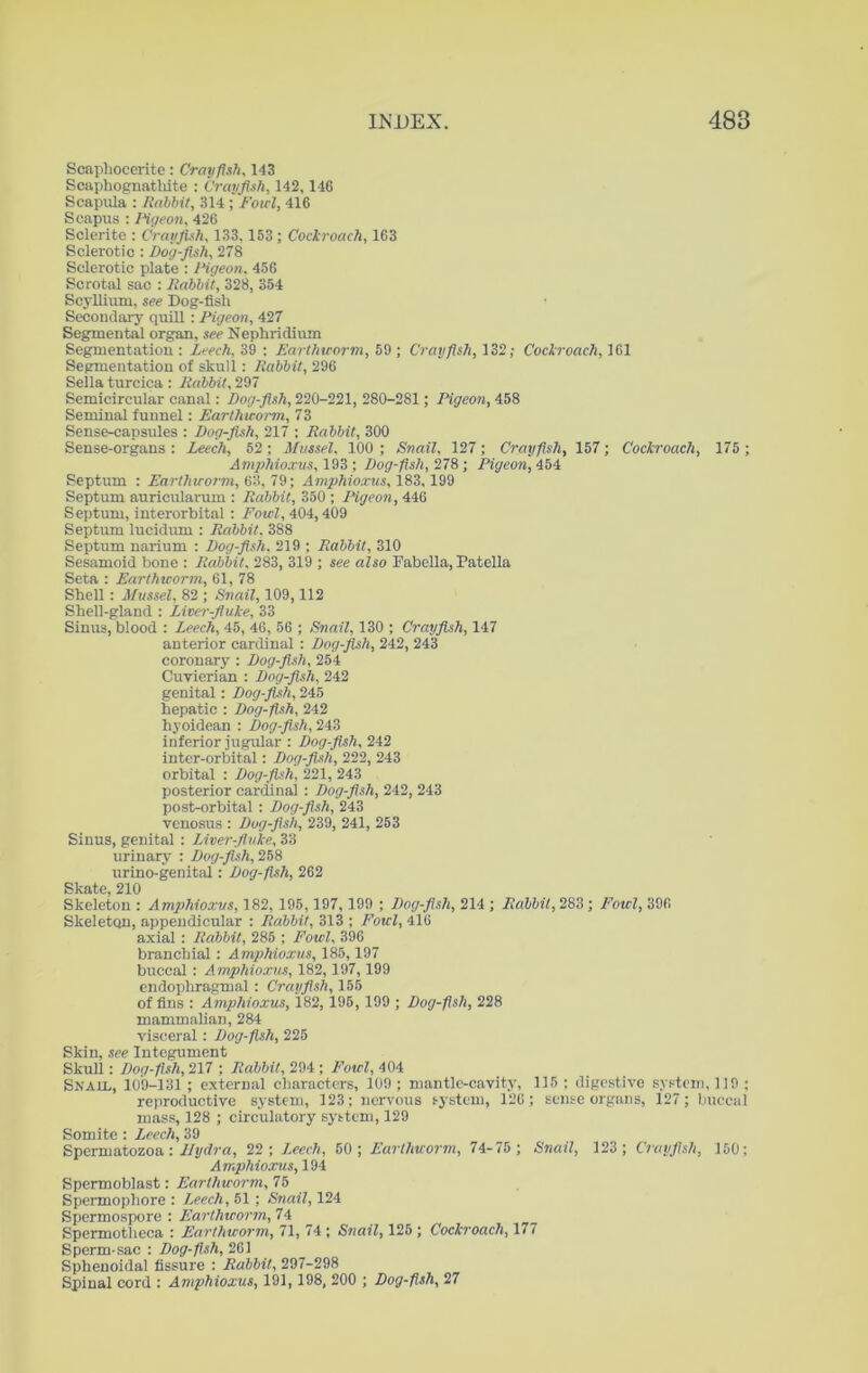 Scaphocerite: Crayfish, 143 Scaphognatliite : Crayfish, 142,146 Scapula : Rabbit, 314 ; Fowl, 416 Seapus : Pigeon, 426 Sclerite : Crayfish, 133, 153; Cockroach, 163 Sclerotic : Dog-fish, 278 Sclerotic plate : lHgeon. 456 Scrotal sac : Rabbit, 328, 354 Scyllium, see Dog-fish Secondary quill : Pigeon, 427 Segmental organ, see Nephridium Segmentation : Leech, 39 : Earthworm, 59 ; Crayfish, 132; Cockroach, 161 Segmentation of skull : Rabbit, 296 Sella turcica : Rabbit, 297 Semicircular canal: Dog-fish, 220-221, 280-281; Pigeon, 458 Seminal funnel: Earthworm, 73 Sense-capsules : Dog-fish, 217 ; Rabbit, 300 Sense-organs : Leech, 52 ; Mussel, 100 ; Snail, 127 ; Crayfish, 157; Cockroach, 175 ; Amphioxus, 193 ; Dog-fish, 278; Pigeon, 454 Septum : Earthworm, 63,79; Amphioxus, 183,199 Septum auricularum : Rabbit, 350 ; Pigeon, 446 Septum, interorbital : Fowl, 404,409 Septum lucidum : Rabbit. 388 Septum narium : Dog-fish. 219 ; Rabbit, 310 Sesamoid bone : Rabbit, 283, 319 ; see also Fabella, Patella Seta : Earthworm, 61, 78 Shell; Mussel, 82 ; Snail, 109,112 Shell-gland : Liver-fluke, 33 Sinus, blood : Leech, 45, 46, 56 ; Snail, 130 ; Crayfish, 147 anterior cardinal : Dog-fish, 242, 243 coronary : Dog-fish, 254 Cuvierian : Dog-fish, 242 genital: Dog-fish, 245 hepatic : Dog-fish, 242 hyoidean : Dog-fish, 243 inferior jugular : Dog-fish, 242 inter-orbital: Dog-fish, 222, 243 orbital : Dog-fish, 221, 243 posterior cardinal : Dog-fish, 242, 243 post-orbital : Dog-fish, 243 venosus : Dog-fish, 239, 241, 253 Sinus, genital : Liver-fluke, 33 urinary : Dog-fish, 258 urino-genital; Dog-fish, 262 Skate, 210 Skeleton : Amphioxus, 182, 195,197, 199 ; Dog-fish, 214 ; Rabbit, 283; Fowl, 396 Skeleton, appendicular : Rabbit, 313 ; Fowl, 416 axial : Rabbit, 285 ; Fowl, 396 branchial: Amphioxus, 185,197 buccal : Amphioxus, 182,197,199 endophragmal: Crayfish, 155 of fins : Amphioxus, 182, 195, 199 ; Dog-fish, 228 mammalian, 284 visceral: Dog-fish, 225 Skin, see Integument Skull: Dog-fish, 217 ; Rabbit, 294 ; Fowl, 404 Snail, 109-131; external characters, 109 ; mantle-cavity, 115 ; digestive system, 119 ; reproductive system, 123: nervous system, 126; sense organs, 127; buccal mass, 128 ; circulatory system, 129 Somite : Leech, 39 Spermatozoa : Hydra, 22; Leech, 50; Earthworm, 74-75 ; Snail, 123; Crayfish, 150; Amphioxus, 194 Spermoblast: Earthworm, 75 Spermopliore : Leech, 51 ; Snail, 124 Spermospore : Earthworm, 74 Spermotheca : Earthworm, 71, 74 ; Snail, 125; Cockroach, 177 Sperm-sac : Dog-fish, 26) Sphenoidal fissure : Rabbit, 297-298 Spinal cord : Amphioxus, 191,198, 200 ; Dog-fish, 27