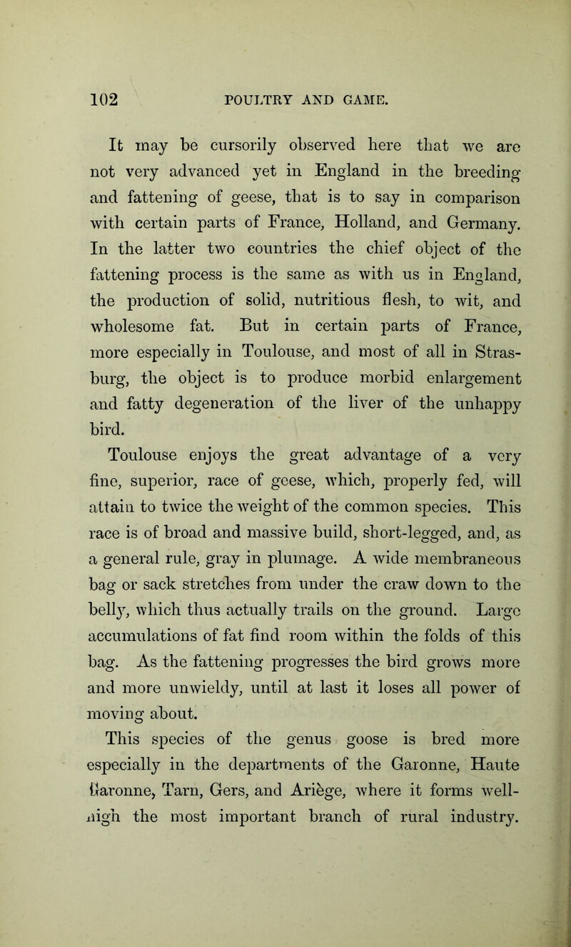 It inay be cursorily observed here that we are not very advanced yet in England in the breeding and fattening of geese, that is to say in comparison with certain parts of France, Holland, and Germany. In the latter two countries the chief object of the fattening process is the same as with us in England, the production of solid, nutritious flesh, to wit, and wholesome fat. But in certain parts of France, more especially in Toulouse, and most of all in Stras- burg, the object is to produce morbid enlargement and fatty degeneration of the liver of the unhappy bird. Toulouse enjoys the great advantage of a very fine, superior, race of geese, which, properly fed, will attain to twice the weight of the common species. This race is of broad and massive build, short-legged, and, as a general rule, gray in plumage. A wide membraneous bao- or sack stretches from under the craw down to the O belly, which thus actually trails on the ground. Large accumulations of fat find room within the folds of this bag. As the fattening progresses the bird grows more and more unwieldy, until at last it loses all power of moving about. This species of the genus goose is bred more especially in the departments of the Garonne, Haute (laronne, Tarn, Gers, and Ariege, where it forms well- nigh the most important branch of rural industry.