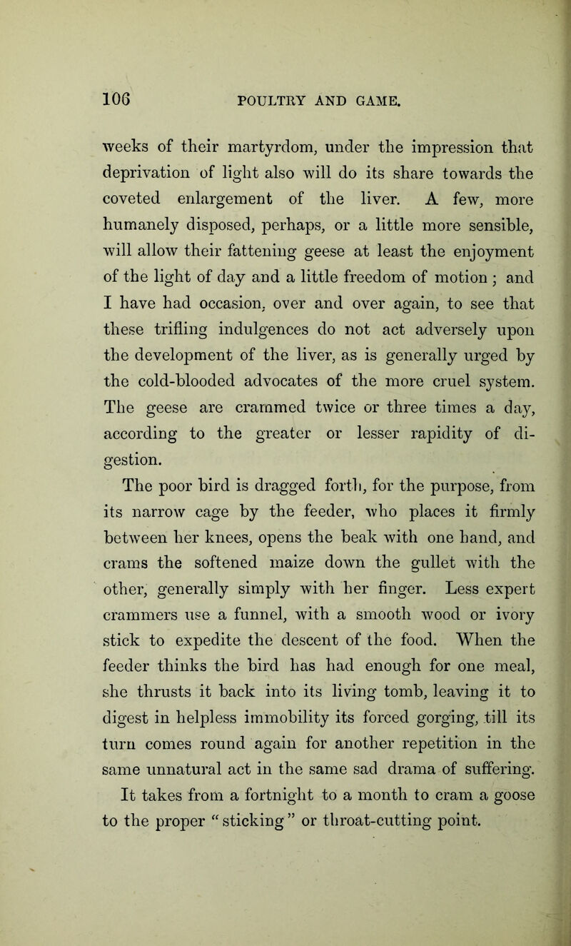 weeks of their martyrdom, under the impression that deprivation of light also will do its share towards the coveted enlargement of the liver. A few, more humanely disposed, perhaps, or a little more sensible, will allow their fattening geese at least the enjoyment of the light of day and a little freedom of motion ; and I have had occasion, over and over again, to see that these trifling indulgences do not act adversely upon the development of the liver, as is generally urged by the cold-blooded advocates of the more cruel system. The geese are crammed twice or three times a day, according to the greater or lesser rapidity of di- gestion. The poor bird is dragged forth, for the purpose, from its narrow cage by the feeder, who places it firmly between her knees, opens the beak with one hand, and crams the softened maize down the gullet with the other, generally simply with her finger. Less expert crammers use a funnel, with a smooth wood or ivory stick to expedite the descent of the food. When the feeder thinks the bird has had enough for one meal, she thrusts it back into its living tomb, leaving it to digest in helpless immobility its forced gorging, till its turn comes round again for another repetition in the same unnatural act in the same sad drama of suffering. It takes from a fortnight to a month to cram a goose to the proper “ sticking ” or throat-cutting point.