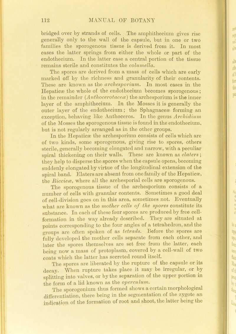 bridged over by strands of cells. The amphithecium gives rise generally only to the wall of the capsule, but in one or two families the sporogenous tissue is derived from it. In most cases the latter springs from either the whole or part of the endothecium. In the latter case a central portion of the tissue remains sterile and constitutes the columella. The spores are derived from a mass of cells which are early marked off by the richness and granularity of their contents. These are known as the archesporium. In most cases in the Hepatic© the whole of the endothecium becomes sporogenous; in the remainder (Anthocerotaceee) the archesporium is the inner layer of the amphithecium. In the Mosses it is generally the outer layer of the endothecium; the Sphagnace© forming an exception, behaving like Anthoceros. In the genus ArcMdium of the Mosses the sporogenous tissue is found in the endothecium, but is not regularly arranged as in the other groups. In the Hepatic© the archesporium consists of cells which are of two kinds, some sporogenous, giving rise to spores, others sterile, generally becoming elongated and narrow, with a peculiar spiral thickening on their walls. These are known as elaters ; they help to disperse the spores when the capsule opens, becoming suddenly elongated by virtue of the longitudinal extension of the spiral band. Elaters are absent from one family of the Hepatic©, the Ricciece, where all the archesporial cells are sporogenous. The sporogenous tissue of the archesporium consists of a number of cells with granular contents. Sometimes a good deal of cell-division goes on in this area, sometimes not. Eventually what are known as the mother cells of the spores constitute its substance. In each of these four spores are produced by free cell- formation in the way already described. They are situated at points corresponding to the four angles of a tetrahedron, and the groups are often spoken of as tetrads. Before the spores are fully developed the mother cells separate from each other, and later the spores themselves are set free from the latter, each being now a mass of protoplasm, covered by a cell-wall of two coats which the latter has secreted round itself. The spores are liberated by the rupture of the capsule or its decay. When rupture takes place it may be irregular, or by splitting into valves, or by the separation of the upper portion in the form of a lid known as the operculum. The sporogonium thus formed shows a certain morphological differentiation, there being in the segmentation of the zygote an indication of the formation of root and shoot, the latter being the