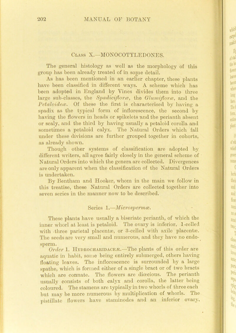 Class X.—MONOCOTYLEDONES. The general histology as well as the morphology of this group has been already treated of in some detail. As has been mentioned in an earlier chapter, these plants have been classified in different ways. A scheme which has been adopted in England by Vines divides them into three large sub-classes, the Spadiciflorce, the Glumiflorce, and the Petaloidece. Of these the first is characterised by having a spadix as the typical form of inflorescence, the second by having the flowers in heads or spikelets and the perianth absent or scaly, and the third by having usually a petaloid corolla and sometimes a petaloid calyx. The Natural Orders which fall under these divisions are further grouped together in cohorts, as already shown. Though other systems of classification are adopted by different writers, all agree fairly closely in the general scheme of N atural Orders into which the genera are collected. Divergences are only apparent when the classification of the Natural Orders is undertaken. By Bentham and Hooker, whom in the main we follow in this treatise, these Natural Orders are collected together into seven scries in the manner now to be described. Series 1.—Microspermce. These plants have usually a biseriate perianth, of which the inner whorl at least is petaloid. The ovary is inferior, 1-celled with three parietal placentae, or 8-celled with axile placentae. The seeds are very small and numerous, and they have no endo- sperm. Order 1. Hydrocharidaceas.—The plants of this order are aquatic in habit, some being entirely submerged, others having floating leaves. The inflorescence is surrounded by a large spathe, which is formed either of a single bract or of two bracts which are connate. The flowers are dioecious. The perianth usually consists of both calyx and corolla, the latter being coloured. The stamens arc typically in two whorls of three each but may be more numerous by multiplication of whorls. The pistillate flowers have staminodes and an inferior ovary.