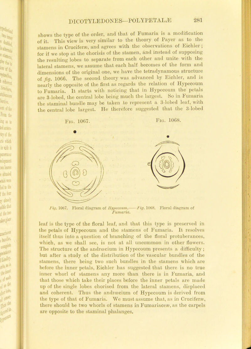 shows the type of the order, and that of Fumaria is a modification of it. This view is very similar to the theory of Payer as to the stamens in Cruciferre, and agrees with the observations of Eichlei , for if we stop at the chorisis of the stamen, and instead of supposing the resulting lobes to separate from each other and unite with the lateral stamens, we assume that each half becomes of the form and dimensions of the original one, we have the tetradynamous structure of fig. 1066. The second theory was advanced by Eichler, and is nearly the opposite of the first as regards the relation of Hypecoum to Fumaria. It starts with noticing that in Hypecoum the petals are 3-lobed, the central lobe being much the largest. So in Fumaria the stamina! bundle may be taken to represent a 3-lobed leaf, with the central lobe largest. He therefore suggested that the 3-lobed Fig. 1067. Fig. 1068. Fig. 1067. Floral diagram of Hypecoum. Fig. 1068. Floral diagram of Fumaria. leaf is the type of the floral leaf, and that this type is preserved in the petals of Hypecoum and the stamens of Fumaria. It resolves itself thus into a question of branching of the floral protuberances, which, as we shall see, is not at all uncommon in other flowers. The structure of the andrcecium in Hypecoum presents a difficulty; but after a study of the distribution of the vascular bundles of the stamens, there being two such bundles in the stamens which are before the inner petals, Eichler has suggested that there is no true inner whorl of stamens any more than there is in Fumaria, and that those which take their places before the inner petals are made up of the single lobes chorised from the lateral stamens, displaced and coherent. Thus the andrcecium of Hypecoum is derived from the type of that of Fumaria. We must assume that, as in Cruciferte, there should be two whorls of stamens in Fumariacese, as the carpels are opposite to the staminal phalanges.