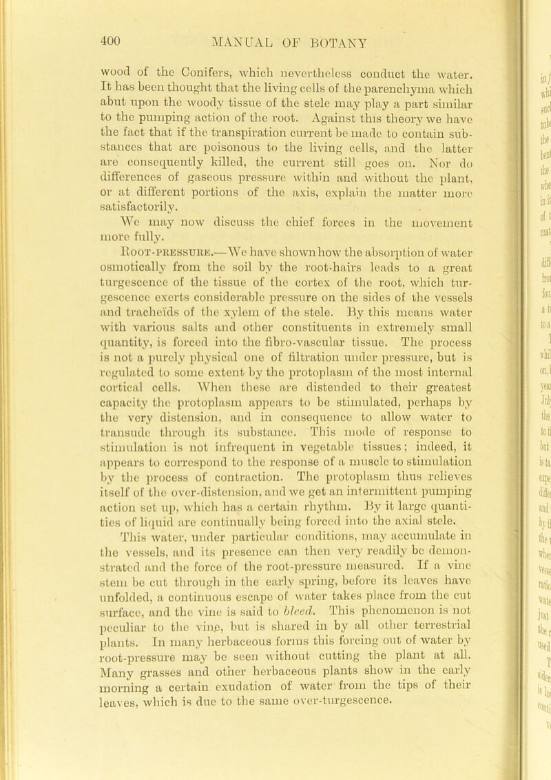 wood of the Conifers, which nevertheless conduct the water. It has been thought that the living cells of the parenchyma which abut upon the woody tissue of the stele may play a part similar to the pumping action of the root. Against this theory we have the fact that if the transpiration current be made to contain sub- stances that are poisonous to the living cells, and the latter are consequently killed, the current still goes on. Nor do differences of gaseous pressure within and without the plant, or at different portions of the axis, explain the matter more satisfactorily. We may now discuss the chief forces in the movement more fully. Root-pressure.—We have shownhow the absorption of water osmotically from the soil by the root-hairs leads to a great turgescence of the tissue of the cortex of the root, which tur- gescenec exerts considerable pressure on the sides of the vessels and tracheitis of the xylem of the stele. By this means water with various salts and other constituents in extremely small quantity, is forced into the fibro-vascular tissue. The process is not a purely physical one of filtration under pressure, but is regulated to some extent by the protoplasm of the most internal cortical cells. When these are distended to their greatest capacity the protoplasm appears to be stimulated, perhaps by the very distension, and in consequence to allow water to transude through its substance. This mode of response to stimulation is not infrequent in vegetable tissues; indeed, it appears to correspond to the response of a muscle to stimulation by the process of contraction. The protoplasm thus relieves itself of the over-distension, and we get an intermittent pumping action set up, which has a certain rhythm. By it large quanti- ties of liquid are continually being forced into the axial stele. This water, under particular conditions, may accumulate in the vessels, and its presence can then very readily be demon- strated and the force of the root-pressure measured. If a vine stem be cut through in the early spring, before its leaves have unfolded, a continuous escape of water takes place from the cut surface, and the vine is said to bleed. This phenomenon is not peculiar to tbc ving, but is shared in by all other terrestrial plants. In many herbaceous forms this forcing out of water by root-pressure may be seen without cutting the plant at all. Many grasses and other herbaceous plants show in the early morning a certain exudation of water from the tips of their leaves, which is due to the same over-turgescence.