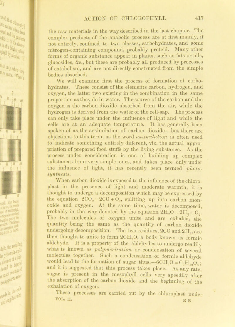 the raw materials in the way described in the last chapter. The complex products of the anabolic process are at first mainly, if not entirely, confined to two classes, carbohydrates, and some nitrogen-containing compound, probably proteid. Many other forms of organic substance appear in plants, such as fats or oils, glucosides, &c., but these are probably all produced by processes of catabolism, and are not directly constructed from the simple bodies absorbed. We will examine first the process of formation of carbo- hydrates. These consist of the elements carbon, hydrogen, and oxygen, the latter two existing in the combination in the same proportion as they do in water. The source of the carbon and the oxygen is the carbon dioxide absorbed from the air, while the hydrogen is derived from the water of the cell-sap. The process can only take place under the influence of light and while the cells are at an adequate temperature. It has generally been spoken of as the assimilation of carbon dioxide ; but there are objections to this term, as the word assimilation is often used to indicate something entirely different, viz. the actual appro- priation of prepared food stuffs by the living substance. As the process under consideration is one of building up complex substances from very simple ones, and takes place only under the influence of light, it has recently been termed photo- synthesis. When carbon dioxide is exposed to the influence of the chloro- plast in the presence of light and moderate warmth, it is thought to undergo a decomposition which may be expressed by the equation 2CO„ = 2CO + O.,, splitting up into carbon mon- oxide and oxygen. At the same time, water is decomposed, probably in the way denoted by the equation 2H.,0 = 2H„ + 0„. The two molecules of oxygen unite and are exhaled, the quantity being the same as the quantity of carbon dioxide undergoing decomposition. The two residues, 2CO and 2H„, are then thought to unite to form 2CH..O, a body known as formic aldehyde. It is a property of the aldehydes to undergo readily what is known as polymerisation or condensation of several molecules together. Such a condensation of formic aldehyde would lead to the formation of sugar thus,—6CH,0 = C,.HjaO(.; and it is suggested that this process takes place. At any rate, sugar is present in the mesophyll cells very speedily after the absorption of the carbon dioxide and the beginning of the exhalation of oxygen. These processes are carried out by the chloroplast under